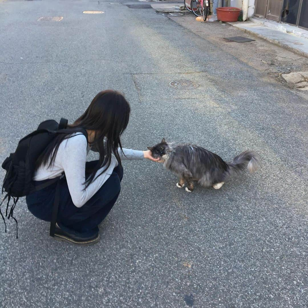 ソン・ファミンのインスタグラム：「털복숭이 친구들~」