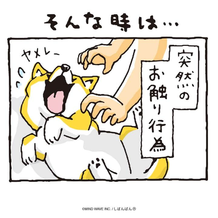 オオゴシヤステルのインスタグラム：「#しばんばんまんが 🟠第223話🟠  そんな時は…  #今日のしばんばん #しばんばん #shibanban #むちころばんばん #muchicorobanban #微笑柴犬 #マインドウェイブ #mindwave #オオゴシヤステル #柴犬 #しばいぬ #shibainu」