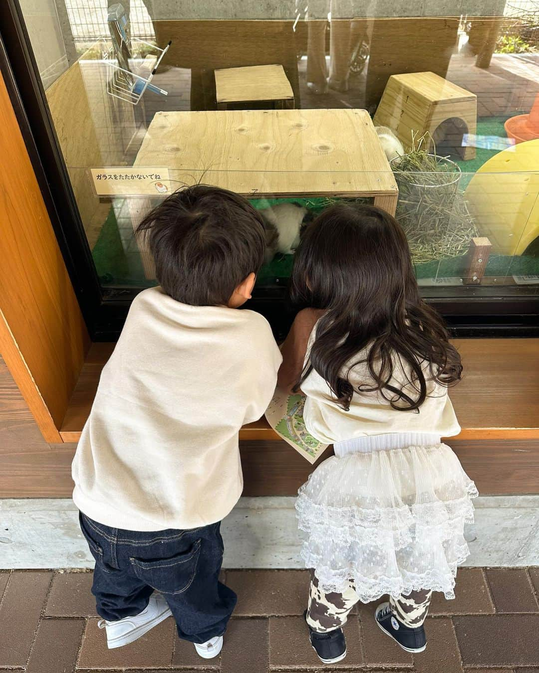 baby.maiさんのインスタグラム写真 - (baby.maiInstagram)「. . Lunchしてからの動物園🦁♡  ほんまはロハス予定やったけど天気予報みたら 風が強くて変更🌪️(あと寒さね🥶) でも意外とてんしばの方は天気良くて最高やった☺️💞  もう2人の写真見返してたら可愛すぎて🥹 次はお泊まりするから楽しみっ🫶🏽絶対うるさい笑  #天王寺 #てんしば #てんしばランチ #天王寺動物園 @kobe_lettuce #kobelettuce #PR」11月15日 19時17分 - maixxaloha