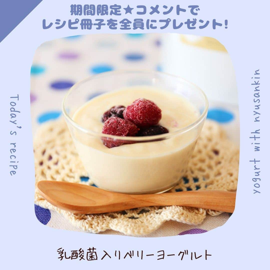 かわしま屋のインスタグラム：「コメントでレシピ集プレゼント！ 作り方は概要欄をチェック↓  🍓乳酸菌入りベリーヨーグルト🐮  乳酸菌パウダーで栄養アップ！ お好みのフルーツを加えてアレンジも◎  〜材料〜 ・ヨーグルト：1パック ・ハチミツ：小さじ1 ・ラズベリー：4粒 ・乳酸菌パウダー：小さじ1  〜作り方〜 ①市販のヨーグルト1パックを用意する。 ②ハチミツ小さじ1杯と乳酸菌パウダー1杯をヨーグルトと混ぜ合わせる。 ③器に移してラズベリーを添えて完成！  〜〜〜〜〜〜〜〜〜〜〜〜〜  ＼11/18までの期間限定／ ======================= 腸活乳酸菌パウダーが20%OFF！ =======================  いいね＋【腸活レシピ】とコメントをすると、 「20%OFFクーポン」＆「レシピ集入り乳酸菌大辞典ダウンロードURL」を 今すぐDMで全員にお届けします♪  コメント期限は11/17(金)まで！ クーポンの有効期限は11/18(土)のためお早めに💦  （フォローをしていない場合、メッセージがリクエストに届いている場合があります。）  〜〜〜〜〜〜〜〜〜〜〜〜〜  保存をして、是非作ってみてくださいね💁‍♀️  いいね・フォローもよろしくお願いします🤝 大変励みになります💪  #かわしま屋 #wellbeing #有機 #オーガニック #腸活 #腸活乳酸菌パウダー #オーガニック腸活乳酸菌パウダー #乳酸菌パウダー #ムズムズ対策 #花粉症 #免疫力 #乳酸菌 #無添加 #植物性乳酸菌 #発酵 #和食 #発酵食品 #手作り #食生活 #栄養 #美容 #健康 #クーポン #プレゼント #全員プレゼント #プレゼント企画 #プレゼントキャンペーン #キャンペーン #レシピ #ヨーグルト」