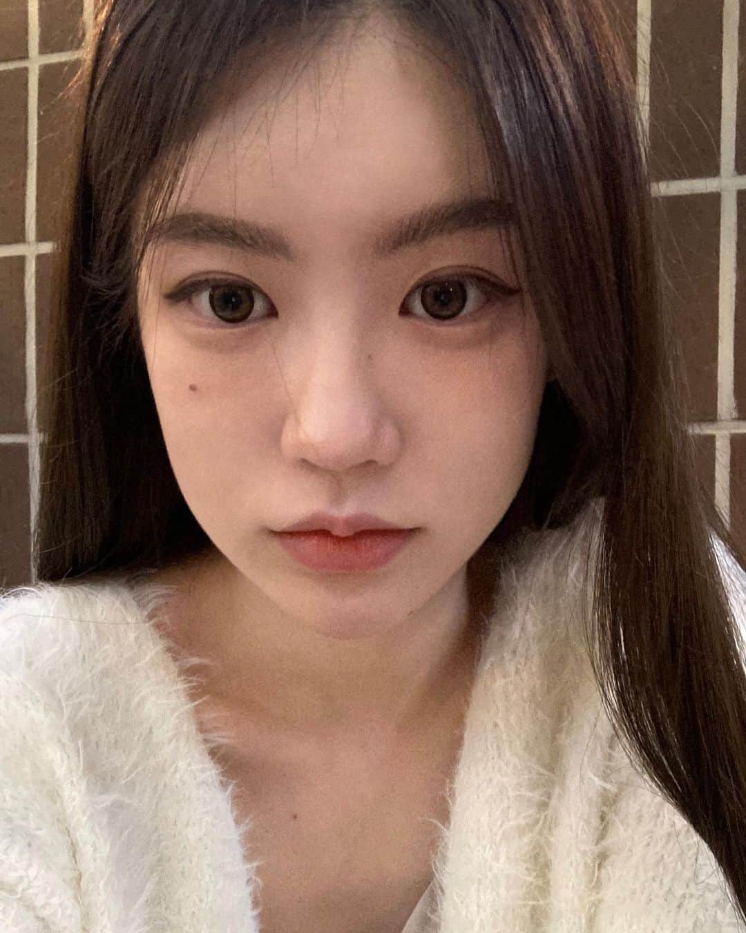 イ・ミンジュのインスタグラム：「오늘 산책하다가 애기 퍼그를 봤당🐶 기분이 좋다 . . 🤎」