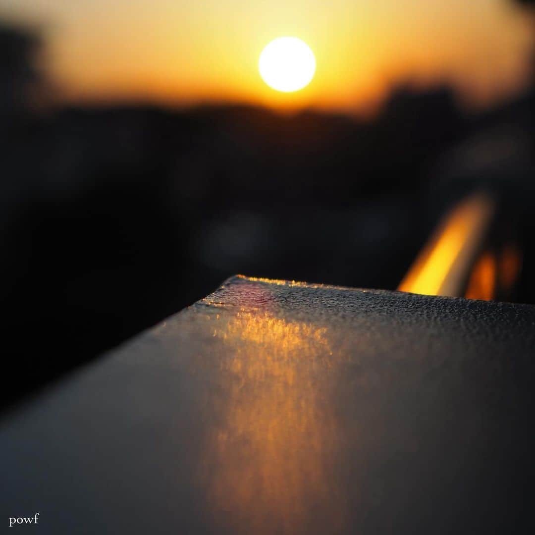 anemone_69さんのインスタグラム写真 - (anemone_69Instagram)「☼ . ベランダから望む夕日。 . . #sunset #夕日 #夕焼け . . .」11月15日 20時04分 - powf