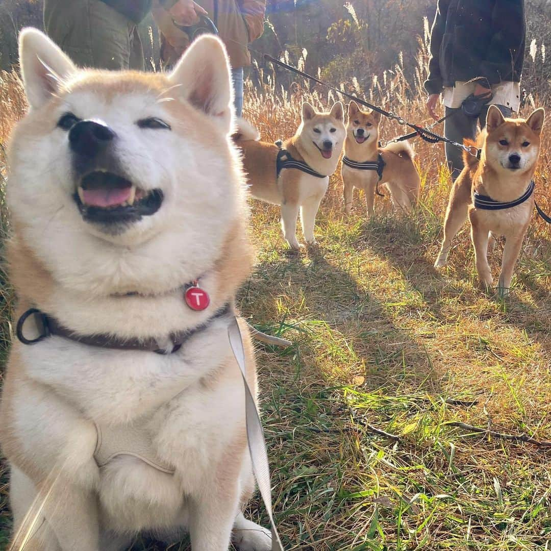 てんパパのインスタグラム：「うどんママと、キッズ（なっぱ、はっぱ）と、てん。 一緒に福島行ってきました。 あちこち連れまわしました。 楽しかった〜 #南湖公園 #shozocafe白河」