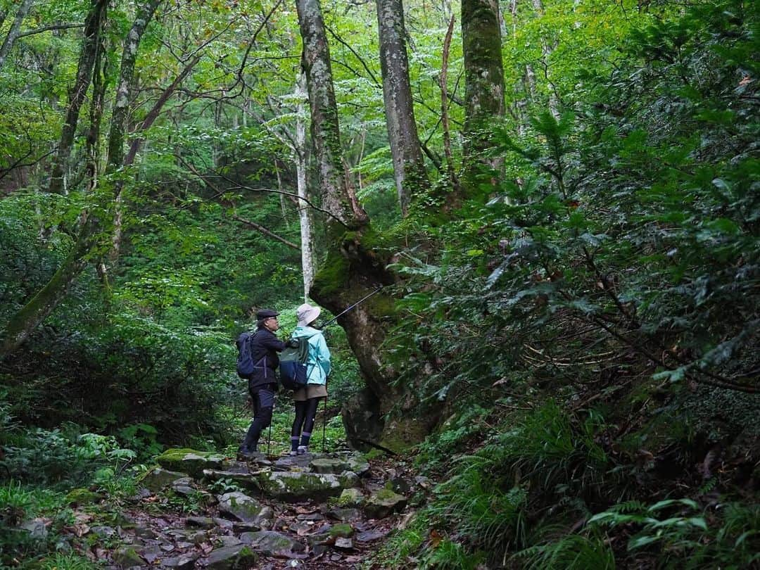 山根千佳さんのインスタグラム写真 - (山根千佳Instagram)「. . NHK「にっぽん百低山」 観て下さった皆さんありがとうございます☺️  下山後に吉田類さんと 日本酒で乾杯出来た事が嬉しすぎました！！  船通山の山頂は空気も美味しく、 心が洗われるような素敵な場所でした☀️  また暖かい季節になり、 カタクリが満開の頃にでも 登山好きの父と登りたいです🏃‍♂️  多くの反響があり嬉しかったです♡  そして本日は大相撲観戦に行ってきました！ 写真沢山撮ったのでまた載せます🌿 . . #吉田類 さん #にっぽん百低山 #nhk  #船通山 #船通山登山 #船通山山頂 #絶景  #登山 #登山女子 #登山好きな人と繋がりたい  #登山好き #山登り #山登り好きな人と繋がりたい  #登山コーデ #登山部 #山登り初心者 #山根千佳」11月15日 20時28分 - yamane_chika