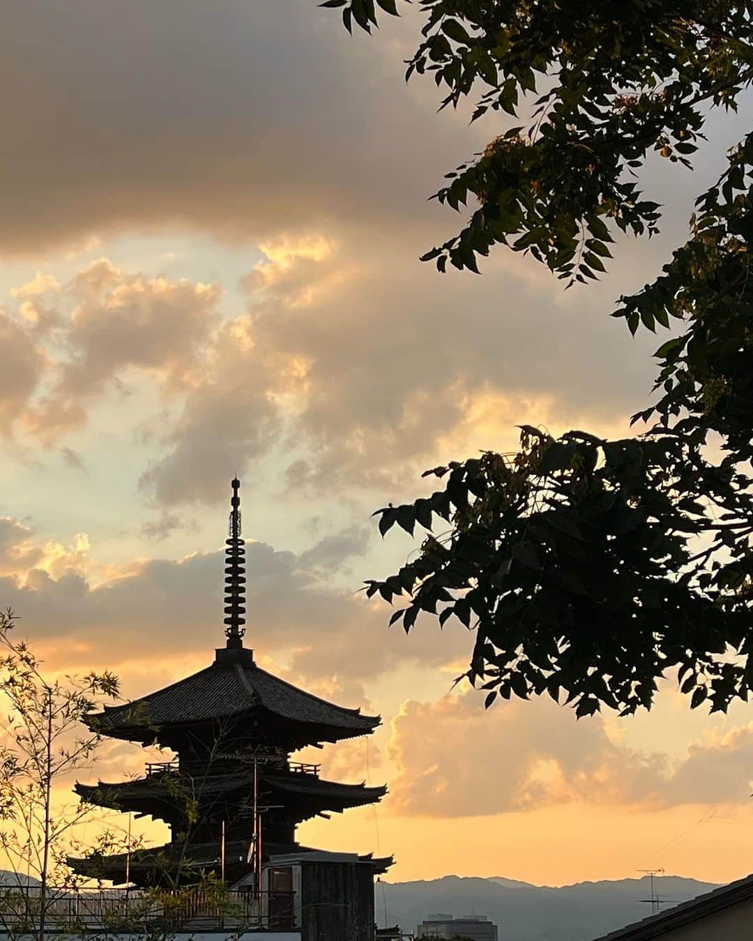 レストランKIYOMIZU東山庭さんのインスタグラム写真 - (レストランKIYOMIZU東山庭Instagram)「先日、東山庭のチャペルでプロポーズをしてくださったお2人  プロポーズに最適✨  京都東山のレストランでお食事の後、水の流れるチャペルでプロポーズはいかがですか💍 ———————————————————————— 【レストラン営業時間】 ◎Dinner 17:00～21:30（LO20:00） ※定休日／月曜日・火曜日  【ご予約方法】 プロフィール欄 URL より受付中 higashiyama.garden 電話予約も承っております 050-3159-6517 ————————————————————————  #higashiyamagarden #ヒガシヤマガーデン #東山庭 #kiyomizu京都東山 #京都東山 #京都グルメ #京都ディナー #京都観光 #京都レストラン #京都フレンチ #プロポーズ ♯清水寺グルメ」11月15日 20時43分 - higashiyama.garden