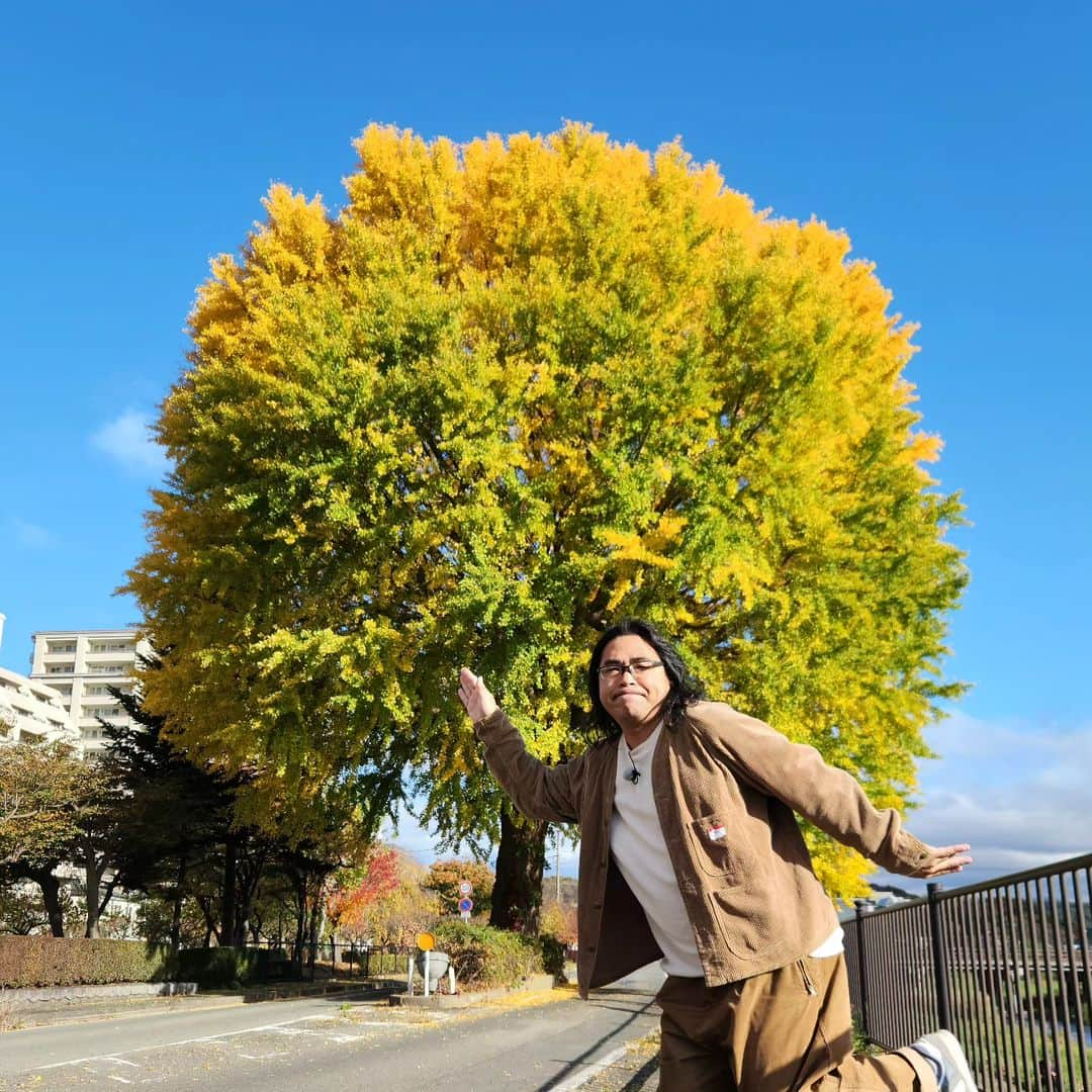 中岡創一さんのインスタグラム写真 - (中岡創一Instagram)「紅葉中岡  葉っぱが黄色くなっただけ それだけで騒ぐんじゃないよ  みんな落ち着こう  #中岡は自然破壊の原因の１つ説 #中岡の顔面に北風食らわせろ #中岡の鼻に花粉詰め込め #でも紅葉はええな #いいねもらっとけ」11月15日 21時16分 - lottinakaoka