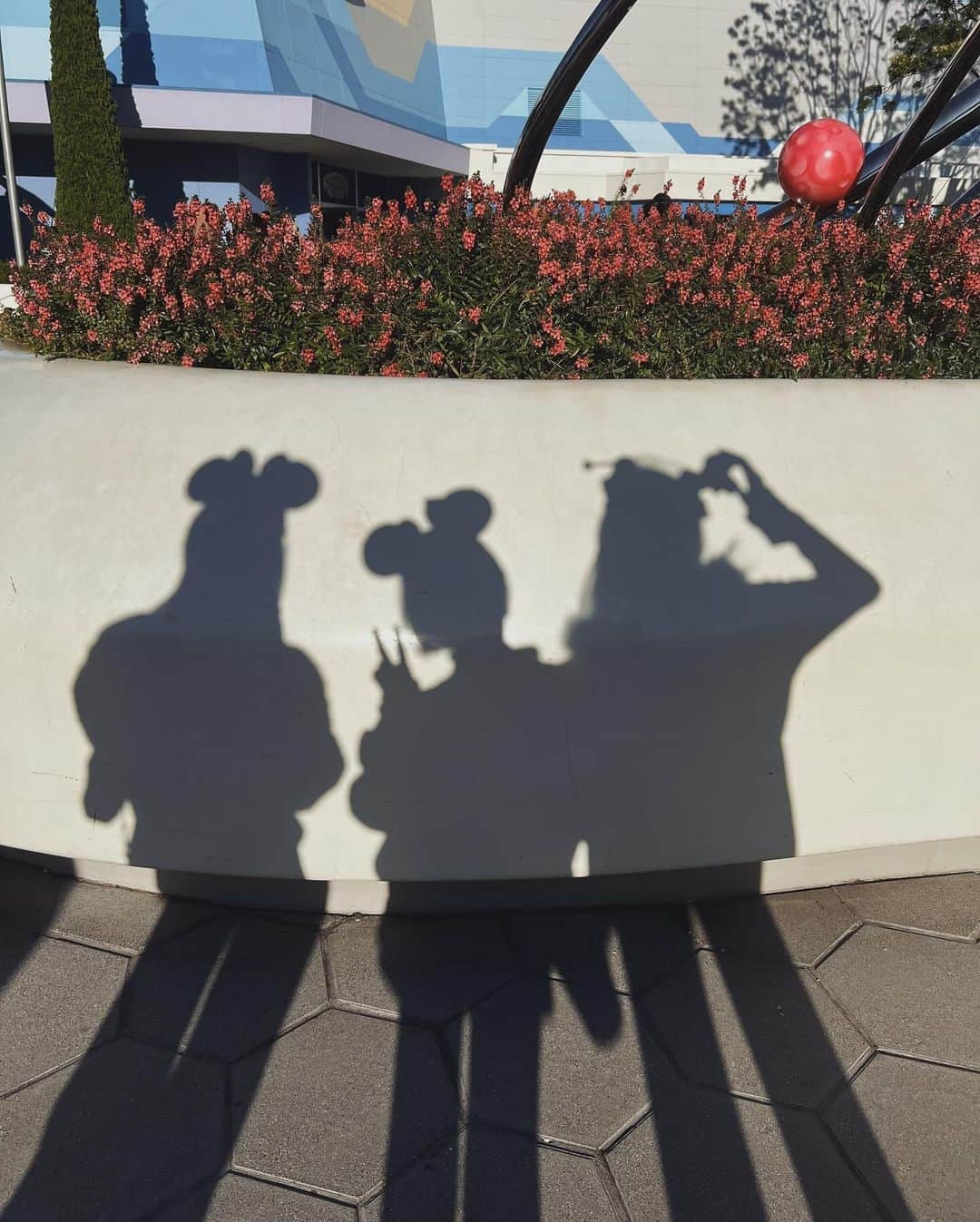 Julia Castroさんのインスタグラム写真 - (Julia CastroInstagram)「3人でHalloween Disney🤎🤎🤎  久々の2人とのディズニー、最初から最後まで楽しかった🫶🏻 . #disneyland #tokyodisneyland  #halloween #disney #halloweendisney  #ディズニーランド #秋色 #思い出 #秋の思い出」11月15日 21時16分 - julia.c.0209