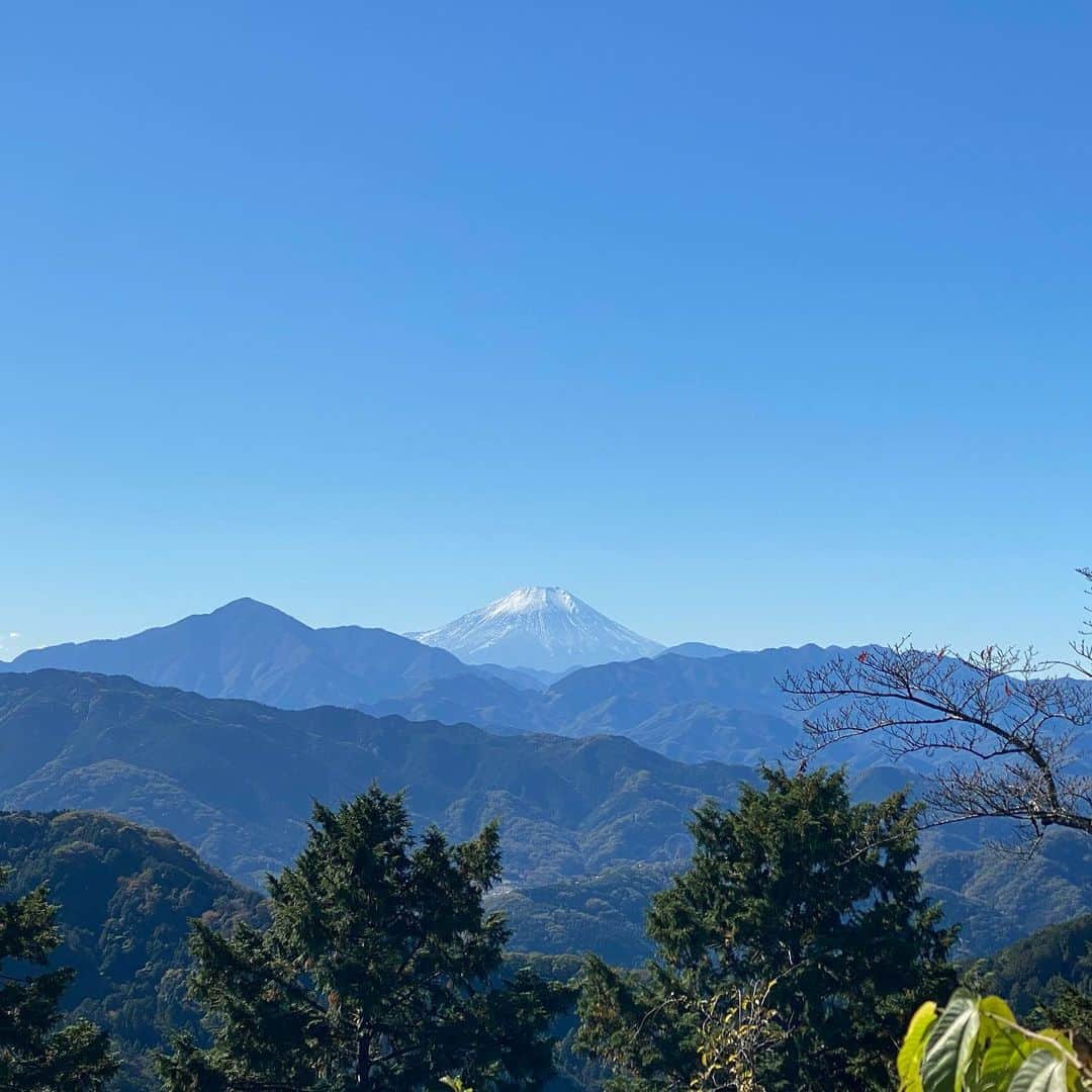井上富美子さんのインスタグラム写真 - (井上富美子Instagram)「10年前に一緒に富士山に登り 御来光をみて御鉢巡りもした友人と 久しぶりの山登り  物心ついてから初の高尾山へ (まさか自分がまた山に登るとは)  緑に囲まれた行きの6号路は 木漏れ日や川のせせらぎが 非常に心地よく リフレッシュできました  山頂では美しい富士山を拝めましたが 平日にもかかわらず人で溢れていて 都会のようなザワザワ感…😳  薬王院も神聖さよりなんだか人の念が多く(笑) 奥院が比較的静かだったくらい  先輩にすすめて頂いた福徳弁財天さまは 穏やかでした  下りは舗装された1号路  思いのほか膝に負担がかかり 分岐で人が少ない土の道を選んで 少しでも多くの自然を感じながら下山  途中で食べたお団子と 下山してから参道で食べた 月見とろろきつねそばが美味でした(*´༥` *)  たまには自然に触れて美味しい空気を吸い エネルギーをたくさん貰って  自分を満たす時間の大切さをしみじみと感じる  そしてその時間を一緒に過ごしてくれる 友人の存在に感謝🙏  #高尾山 #低山登山 #初心者 #リフレッシュ #6号路 #帰りは #リフトか #ケーブルカーがおすすめ #楽しい登山 #ありがとう」11月15日 21時17分 - fumi_ino1222