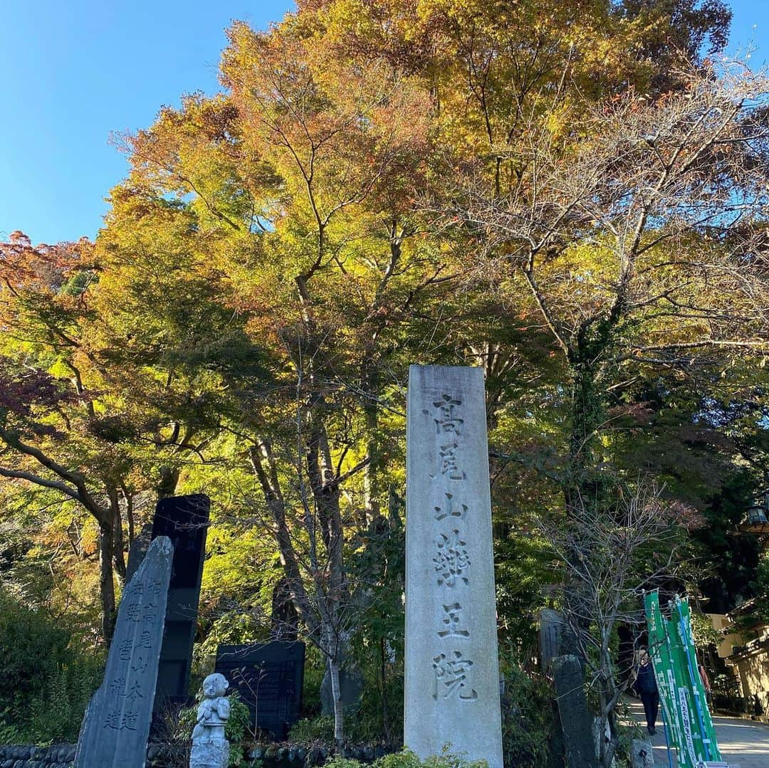 井上富美子さんのインスタグラム写真 - (井上富美子Instagram)「10年前に一緒に富士山に登り 御来光をみて御鉢巡りもした友人と 久しぶりの山登り  物心ついてから初の高尾山へ (まさか自分がまた山に登るとは)  緑に囲まれた行きの6号路は 木漏れ日や川のせせらぎが 非常に心地よく リフレッシュできました  山頂では美しい富士山を拝めましたが 平日にもかかわらず人で溢れていて 都会のようなザワザワ感…😳  薬王院も神聖さよりなんだか人の念が多く(笑) 奥院が比較的静かだったくらい  先輩にすすめて頂いた福徳弁財天さまは 穏やかでした  下りは舗装された1号路  思いのほか膝に負担がかかり 分岐で人が少ない土の道を選んで 少しでも多くの自然を感じながら下山  途中で食べたお団子と 下山してから参道で食べた 月見とろろきつねそばが美味でした(*´༥` *)  たまには自然に触れて美味しい空気を吸い エネルギーをたくさん貰って  自分を満たす時間の大切さをしみじみと感じる  そしてその時間を一緒に過ごしてくれる 友人の存在に感謝🙏  #高尾山 #低山登山 #初心者 #リフレッシュ #6号路 #帰りは #リフトか #ケーブルカーがおすすめ #楽しい登山 #ありがとう」11月15日 21時17分 - fumi_ino1222