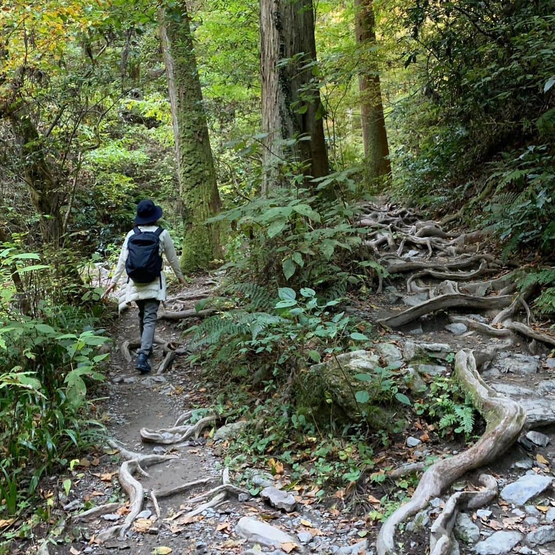井上富美子さんのインスタグラム写真 - (井上富美子Instagram)「10年前に一緒に富士山に登り 御来光をみて御鉢巡りもした友人と 久しぶりの山登り  物心ついてから初の高尾山へ (まさか自分がまた山に登るとは)  緑に囲まれた行きの6号路は 木漏れ日や川のせせらぎが 非常に心地よく リフレッシュできました  山頂では美しい富士山を拝めましたが 平日にもかかわらず人で溢れていて 都会のようなザワザワ感…😳  薬王院も神聖さよりなんだか人の念が多く(笑) 奥院が比較的静かだったくらい  先輩にすすめて頂いた福徳弁財天さまは 穏やかでした  下りは舗装された1号路  思いのほか膝に負担がかかり 分岐で人が少ない土の道を選んで 少しでも多くの自然を感じながら下山  途中で食べたお団子と 下山してから参道で食べた 月見とろろきつねそばが美味でした(*´༥` *)  たまには自然に触れて美味しい空気を吸い エネルギーをたくさん貰って  自分を満たす時間の大切さをしみじみと感じる  そしてその時間を一緒に過ごしてくれる 友人の存在に感謝🙏  #高尾山 #低山登山 #初心者 #リフレッシュ #6号路 #帰りは #リフトか #ケーブルカーがおすすめ #楽しい登山 #ありがとう」11月15日 21時17分 - fumi_ino1222