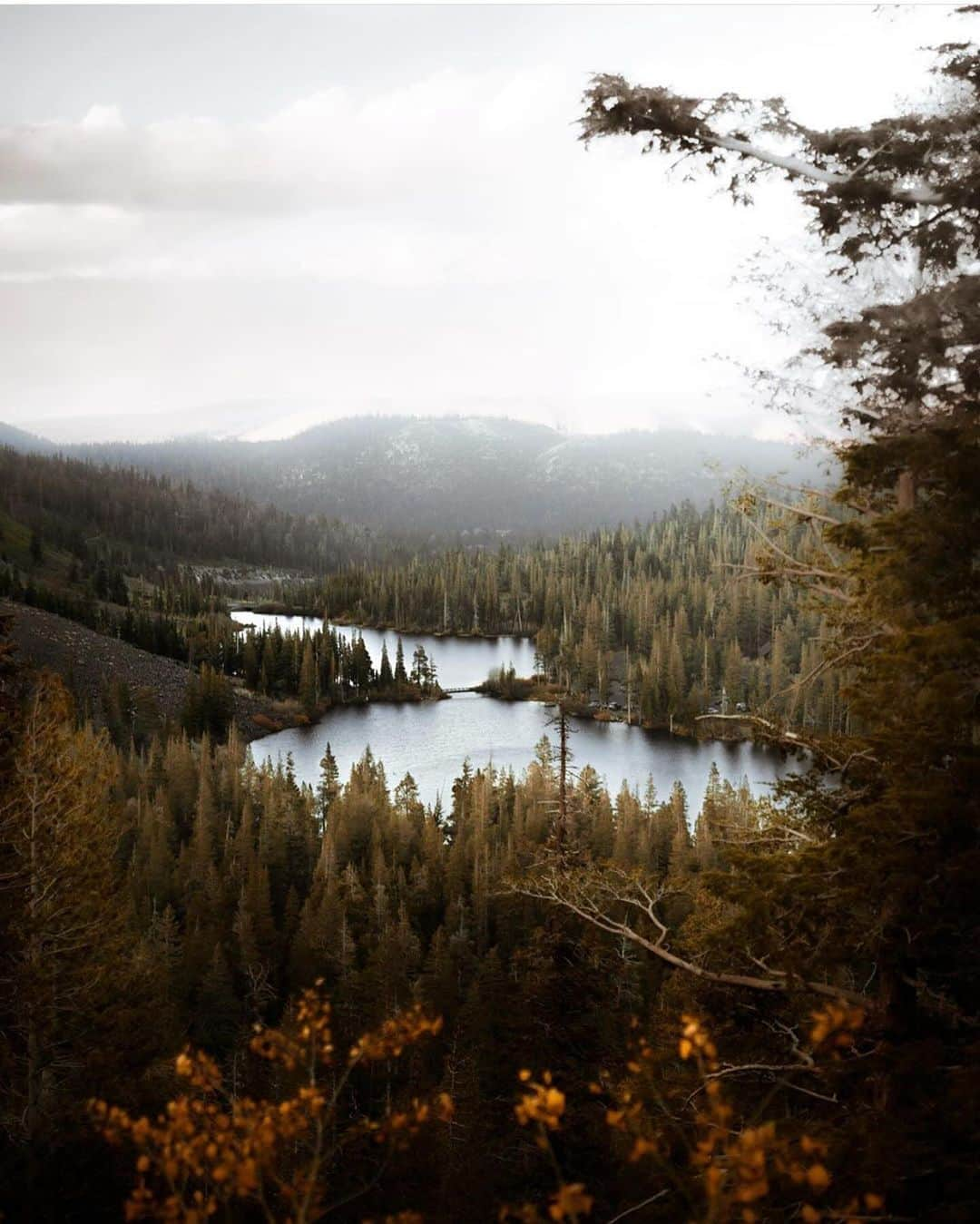 FOLKのインスタグラム：「As the autumn season continues to march towards the Christmas season (starts for us on Thanksgiving night) I wanted to share a few more of my favorite autumn images before it’s too late! 1) @jeff.n.brenner 2) @teressafoglia 3) @archiefrink 4) @vic_nkt 5) @ryanresatka 6) @kierra_summer 7) @dirtandglass 8) @foxsbackpack 9) @kylekotajarvi 10) @ianpoley #livefolk #liveauthentic」