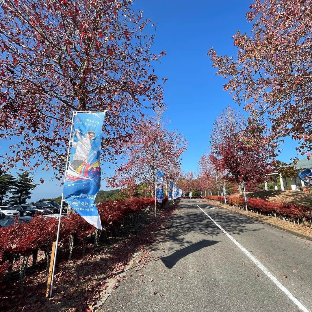 みかんさんのインスタグラム写真 - (みかんInstagram)「先日、何年ぶりかに行ってきたのよ〜⛳️ エリエールゴルフクラブ松山さん✨ 久々な割にはこの日はトリを打つ事なく 纏まった内容ですごく気持ちよく回れました🏌️‍♀️ ただ、ショートホールでの1オン3パットは悔やまれる😭 そして！そして！待っておりました👏 地元愛媛で開催‼️なんと明日から JLPGA第42回大王製紙エリエールレディース オープンが始まるのよね〜⛳️ 楽しみすぎるよ〜🙌 今年こそは生観戦したかったけどスケ合わず🥺 でも、大丈夫🙆‍♀️私は全試合を見るために DAZNにも入ったのです😆😆😆 いよいよ今シーズンも残りもあと2試合か💦 誰が賞金女王になるんだろ〜⁉️ 目が離せない戦いだわね😉 ただいま、私の趣味は完全にゴルフです(笑) 来年はものまねゴルフタレントとゆう肩書き目指して 頑張ります(笑) 女子プロの方もモノマネも取得中😆 ゴルフもモノマネもダブルで仕上げていきます🍊  #エリエールゴルフクラブ松山 #第42回大王製紙エリエールレディスオープン  #開催地は松山 #JLPGA #ものまねみかん #ゴルフ大好き #今のところ女子プロ３人はモノマネできます #打ち方もマネ出来ればいいんだけど #それは無理」11月15日 21時48分 - mikan02241984