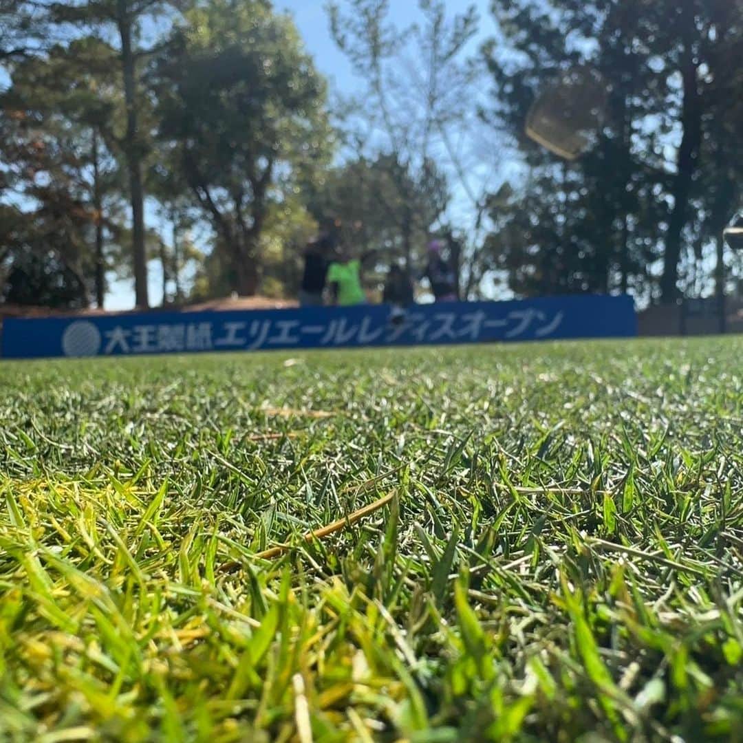 みかんさんのインスタグラム写真 - (みかんInstagram)「先日、何年ぶりかに行ってきたのよ〜⛳️ エリエールゴルフクラブ松山さん✨ 久々な割にはこの日はトリを打つ事なく 纏まった内容ですごく気持ちよく回れました🏌️‍♀️ ただ、ショートホールでの1オン3パットは悔やまれる😭 そして！そして！待っておりました👏 地元愛媛で開催‼️なんと明日から JLPGA第42回大王製紙エリエールレディース オープンが始まるのよね〜⛳️ 楽しみすぎるよ〜🙌 今年こそは生観戦したかったけどスケ合わず🥺 でも、大丈夫🙆‍♀️私は全試合を見るために DAZNにも入ったのです😆😆😆 いよいよ今シーズンも残りもあと2試合か💦 誰が賞金女王になるんだろ〜⁉️ 目が離せない戦いだわね😉 ただいま、私の趣味は完全にゴルフです(笑) 来年はものまねゴルフタレントとゆう肩書き目指して 頑張ります(笑) 女子プロの方もモノマネも取得中😆 ゴルフもモノマネもダブルで仕上げていきます🍊  #エリエールゴルフクラブ松山 #第42回大王製紙エリエールレディスオープン  #開催地は松山 #JLPGA #ものまねみかん #ゴルフ大好き #今のところ女子プロ３人はモノマネできます #打ち方もマネ出来ればいいんだけど #それは無理」11月15日 21時48分 - mikan02241984