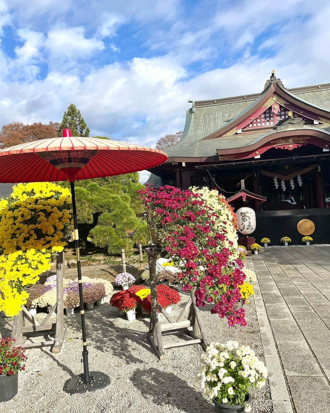 寺田真珠さんのインスタグラム写真 - (寺田真珠Instagram)「もうすぐ母の誕生日ということで、 茨城県笠間市へ家族でいってきました👨‍👩‍👧‍👧🫶  写真撮りすぎたので、 徐々にあげていきますね？ リールもつくります🫣  素敵な1日を過ごすことができて幸せでした  お母さんいつもありがとう  そして茨城の方はいい人ばかりで心が温まる なんだろう福島と同じ空気を感じるの  つぎは行ったことのない場所へも行きたいなあ  #茨城県 #茨城グルメ #茨城 #ibaraki #笠間 #笠間稲荷神社 #幸せだんご #菊まつり #笠間の菊まつり #神社 #日本三大稲荷 #ootd #ootdfashion #fashion #style #uniqlo #ユニクロ #ユニクロコーデ #ユニクロ購入品 #ジャンパー #アウター #冬服 #冬服コーデ #冬コーデ #タートルネック #タートルネックニット #タートルネックコーデ #ロングブーツ #ロングブーツコーデ #ハーフパンツ」11月15日 21時52分 - shinju_terada