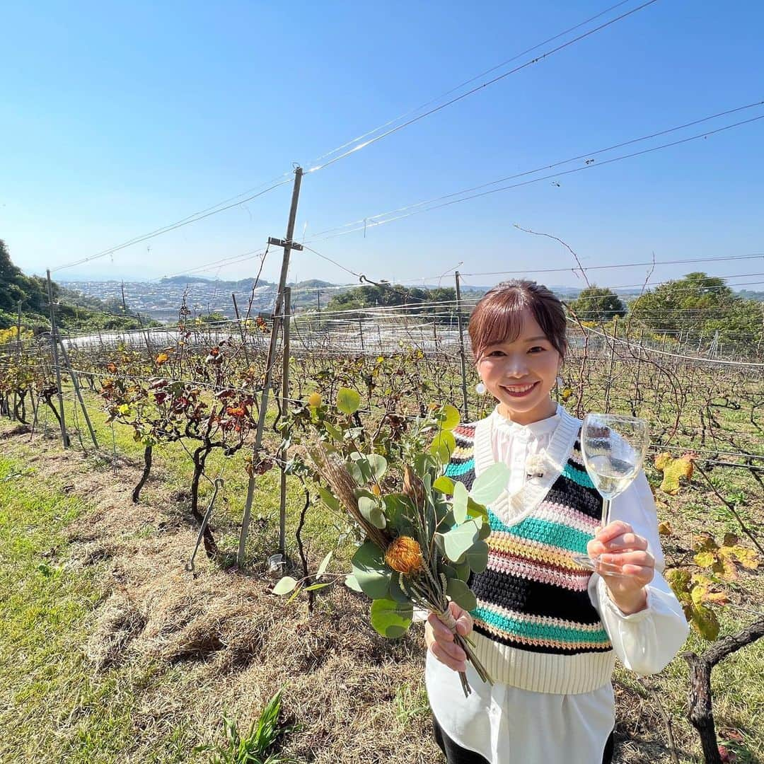 出世凪沙のインスタグラム：「. #ワインにハマった記念日🍷 結局この日何杯飲んだんやろ🤔  一応仕事やし…って10杯目までは気にして数えてたけど 2桁超えてからはもう美味しすぎて 数えるのやめちゃったからワカラナイ🤷‍♀️笑 (※元々あんまり酔わないタイプなので そこはご心配なく🙆‍♀️)  地元の奈良からも近い河内地方で 昔からワインが作られていたなんて知らんかったし 今回もかなり勉強にもなった楽しいロケでした🤭  今は新酒の季節。 ブドウ畑やワイナリーの見学ツアー、 収穫が終わった畑で新酒を楽しむパーティーなど 様々な形でワインを楽しむことができるそう😍🍇 ぜひ河内にお出かけしてみてください〜！ . #ほっと関西サタデー#ロケ#ワイン#ワインスタグラム #ワイン好き#お酒#河内#柏原市#羽曳野市#ワイナリー #新酒#ワイン祭り#お出かけスポット #nhkプラスで見逃し配信中#ぜひご覧ください ❤︎」