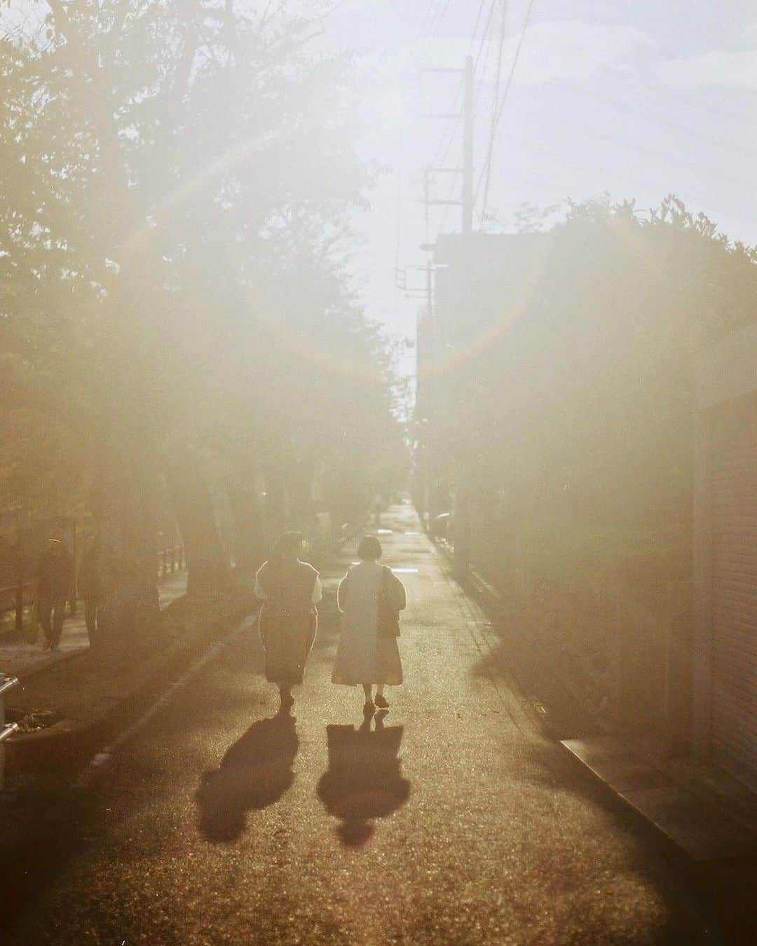 花澤杏華さんのインスタグラム写真 - (花澤杏華Instagram)「10.25 川沿いを歩いて散歩した日 待ち合わせ時は曇ってたけど帰りには夕焼けも光も綺麗だった 帰りにみんなで食べた大判焼き、美味しかったね」11月15日 22時43分 - aprico7_