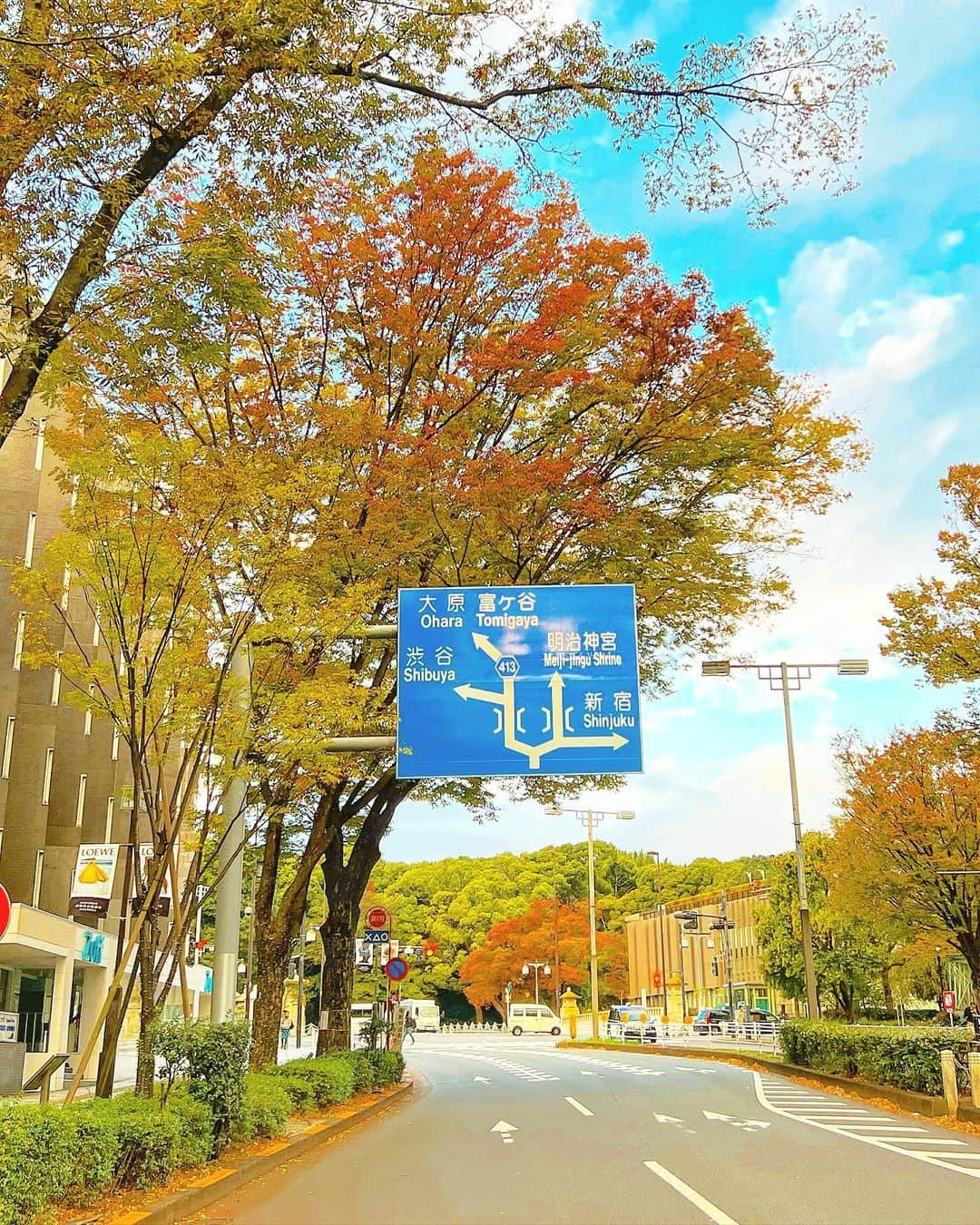 YOKANのインスタグラム：「《OhaYOKAN》  今朝の 原宿表参道は快晴なり…☀️  清々しく さわやかな小春日和の朝🌅  朝ラン＆ウォークは  お仕事の関係で 短めでしたが快調でした…🏃‍♀️👟  さて  『スケジュールのお話』  YOKANのお仕事は  《呼ばれてなんぼ》的な  いわゆる クライアントさんに 依頼を受けて成立する職業で  スケジュール的には  イイ感じに 均等に入ってくれるか  イイ感じに 詰まって入って  お休み出来たりとか❓  理想なのですが  なかなか 思った通りにはならず  スケジュールを ブッキングする時も  当たり前のことですが  日時が 合わないとお仕事にはならず  クライアントによっては  面白いもので  それほど 忙しくないのに  スケジュールが  いつも 重なって出来なかったり⁉️ （決して嫌っているわけではありません…😇）  逆に  忙しい時期なのに  ちょっとした隙間に  まるで スケジュールを 把握しているかの様に  ピンポイントで  その 隙間に依頼が来たり（笑）  これも縁ですよね❣️  ということで  ちょっと 続いていたバタバタモードも  今週 がんばれば一段落…✨  楽しみながらがんばりまーす…🙋‍♀️  みなさま  笑顔でステキな1日を…💓  ※今朝の  《YOKAN散歩》  街角アート写真は  朝の情景シリーズ✨  少しずつ 紅葉が進んでいる  今朝の原宿表参道…🍁  #harajuku #omotesando #tokyo #原宿 #表参道 #morning #朝 #running #ジョギング #朝ラン #walking #ウォーキング #朝活 #OhaYOKAN #YOKAN散歩 #YOKAN #streetart #街角アート #道路標識 #道路案内 #morningscene #朝の情景 #インスタ映え #instagram #tokyocameraclub #笑顔でステキな1日を💓」