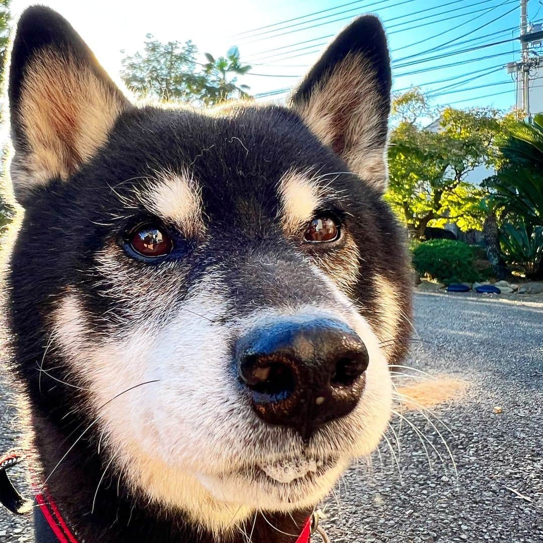 小川博永のインスタグラム