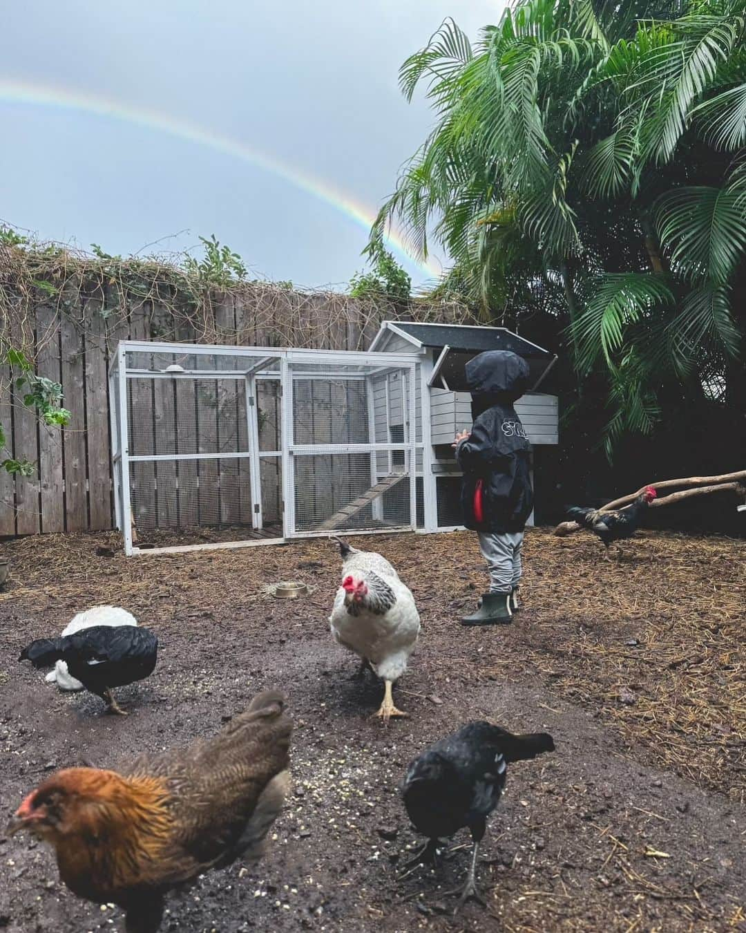 吉川ひなのさんのインスタグラム写真 - (吉川ひなのInstagram)「♡ Rainbow season🌈」11月16日 7時55分 - hinanoyoshikawa