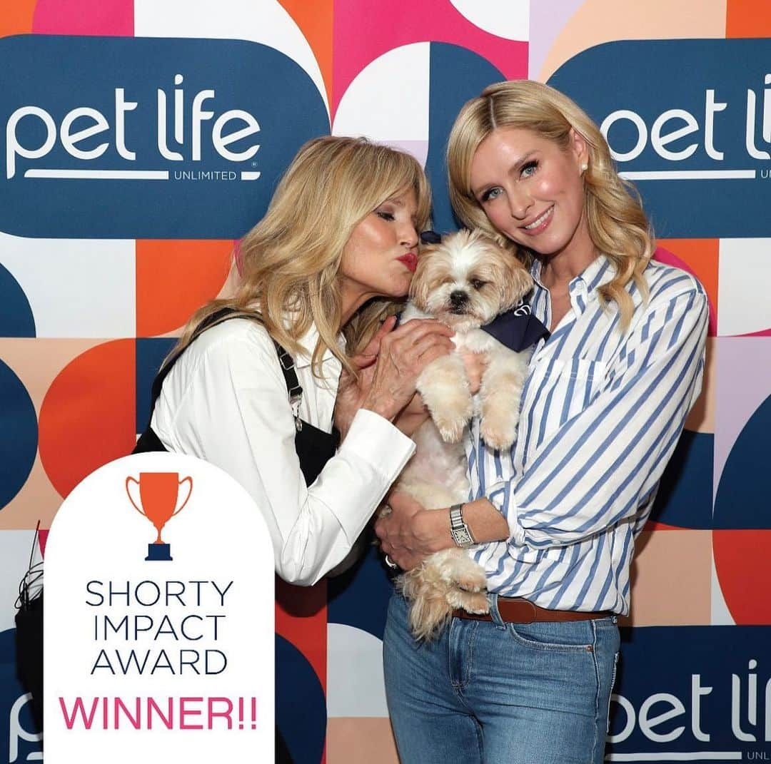 クリスティ・ブリンクリーのインスタグラム：「Congratulations @petlife.unlimited on winning the Shorty Impact Award for your Furever Young Senior Adoption Campaign! These awards celebrate purpose driven work from brands that aim to make the world a better place! Swipe for our campaign recap…A humongous heartfelt thank you to Petlife Unlimited for including me in this heartwarming campaign, and accolades to @animalhaven  @narrativegroup and all our influencer friends for bringing this vision to life, and for helping get these sweet pups adopted, and giving them a new LEASH on life! Thank you all for voting for us! 🐾🐾 #adoptdontshop #seniordogsofinstagram #seniordog #love」