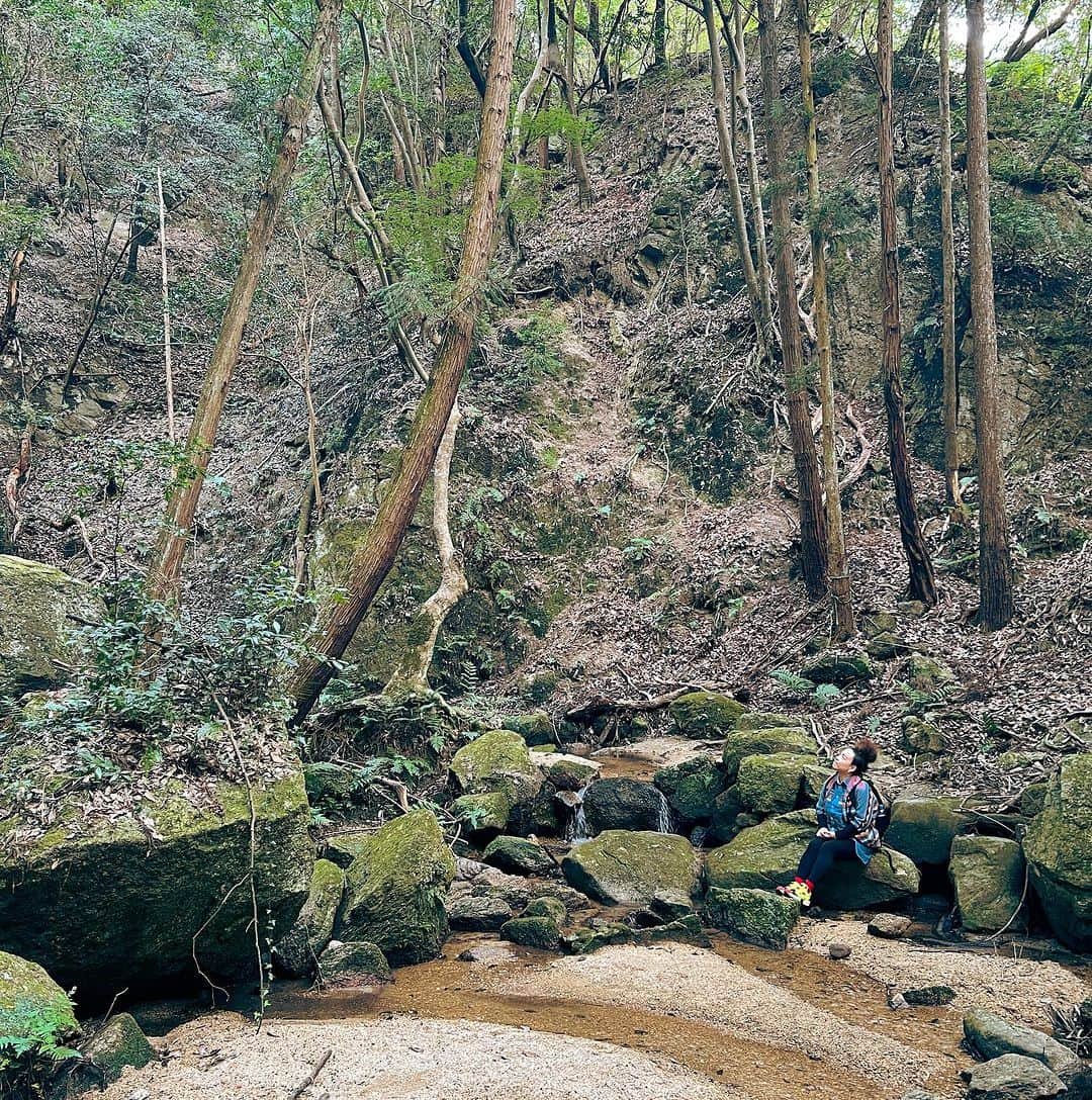 大山百合香さんのインスタグラム写真 - (大山百合香Instagram)「🌳🌲いつかの森林浴🌿🌱🍃  シンガーのお友達ソラナヒトミちゃんと 交野市にある月輪の滝にいってきました☺︎ 美味しいパンを買って山へハイキング⛰ 滝を目指して山を登り始めると 一気に空気が澄んで体が軽くなった。 彼女の瞳のように澄んだ綺麗な川の水 深い緑の木々、マイナスイオンたっぷりの森の中で 深い深い深呼吸ができました。 きっとそこの主である、大きな蟹さん🦀も会いにきてくれて大興奮！ 帰り道には、茨木養蜂の喫茶がんびさんでハニーレモンをいただき、ハチミツをゲット🍯 心身ともにゆっくりできた休日でした🍃  ひとみん、ありがとう♡  "私市"きさいち　が読めなかったのが唯一の後悔…  #ohyamayurika #ohyamayurikaofficial  #大山百合香 #ソラナヒトミ #月輪の滝」11月16日 1時14分 - ohyamayurika