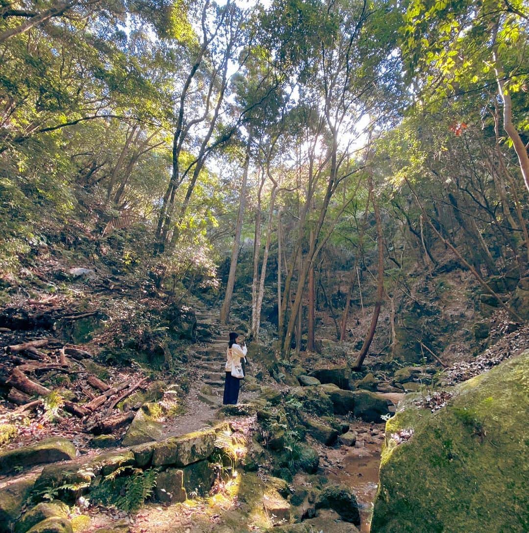 大山百合香さんのインスタグラム写真 - (大山百合香Instagram)「🌳🌲いつかの森林浴🌿🌱🍃  シンガーのお友達ソラナヒトミちゃんと 交野市にある月輪の滝にいってきました☺︎ 美味しいパンを買って山へハイキング⛰ 滝を目指して山を登り始めると 一気に空気が澄んで体が軽くなった。 彼女の瞳のように澄んだ綺麗な川の水 深い緑の木々、マイナスイオンたっぷりの森の中で 深い深い深呼吸ができました。 きっとそこの主である、大きな蟹さん🦀も会いにきてくれて大興奮！ 帰り道には、茨木養蜂の喫茶がんびさんでハニーレモンをいただき、ハチミツをゲット🍯 心身ともにゆっくりできた休日でした🍃  ひとみん、ありがとう♡  "私市"きさいち　が読めなかったのが唯一の後悔…  #ohyamayurika #ohyamayurikaofficial  #大山百合香 #ソラナヒトミ #月輪の滝」11月16日 1時14分 - ohyamayurika