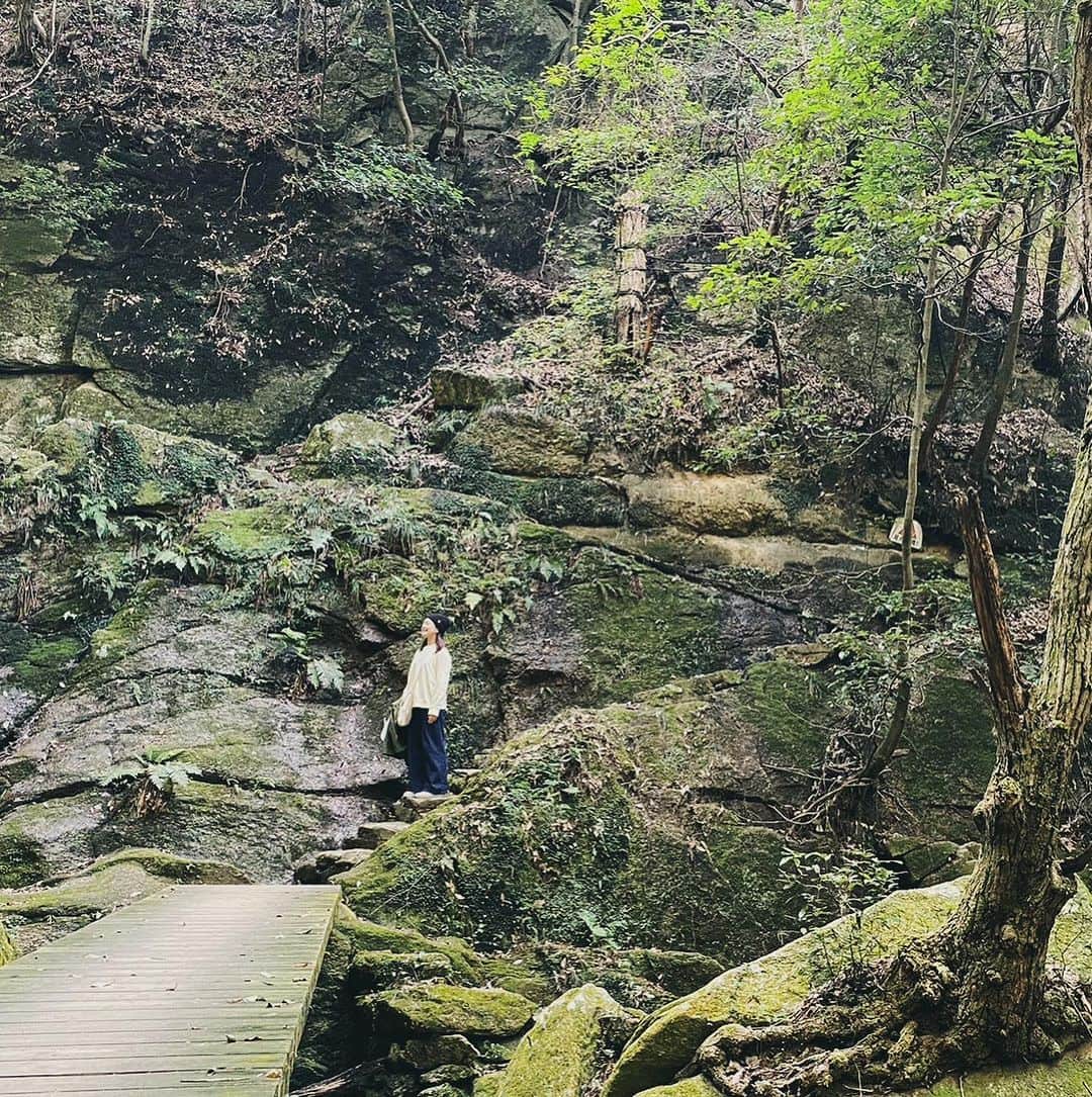 大山百合香さんのインスタグラム写真 - (大山百合香Instagram)「🌳🌲いつかの森林浴🌿🌱🍃  シンガーのお友達ソラナヒトミちゃんと 交野市にある月輪の滝にいってきました☺︎ 美味しいパンを買って山へハイキング⛰ 滝を目指して山を登り始めると 一気に空気が澄んで体が軽くなった。 彼女の瞳のように澄んだ綺麗な川の水 深い緑の木々、マイナスイオンたっぷりの森の中で 深い深い深呼吸ができました。 きっとそこの主である、大きな蟹さん🦀も会いにきてくれて大興奮！ 帰り道には、茨木養蜂の喫茶がんびさんでハニーレモンをいただき、ハチミツをゲット🍯 心身ともにゆっくりできた休日でした🍃  ひとみん、ありがとう♡  "私市"きさいち　が読めなかったのが唯一の後悔…  #ohyamayurika #ohyamayurikaofficial  #大山百合香 #ソラナヒトミ #月輪の滝」11月16日 1時14分 - ohyamayurika