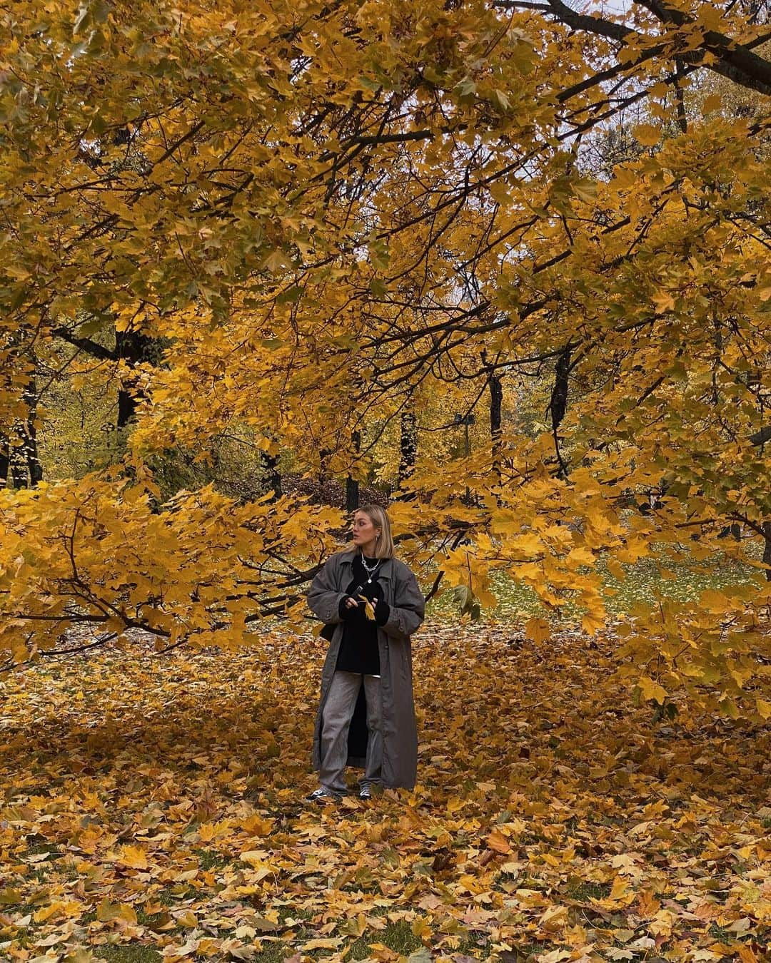 アンジェリカ・ブリックさんのインスタグラム写真 - (アンジェリカ・ブリックInstagram)「Fall snapshots 🧸🩰🍂🌙」11月16日 1時31分 - angelicablick