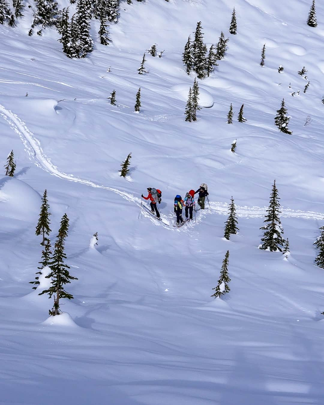 Swatchさんのインスタグラム写真 - (SwatchInstagram)「Swatch Proteam athlete Cody Townsend is back for the fifth season of his record-breaking YouTube video series "The Fifty"! 🏔️ Join us as we follow Cody on his quest to conquer all 50 classic ski descents in North America.  #SwatchLovesSports #SwatchProteam」11月16日 2時50分 - swatch