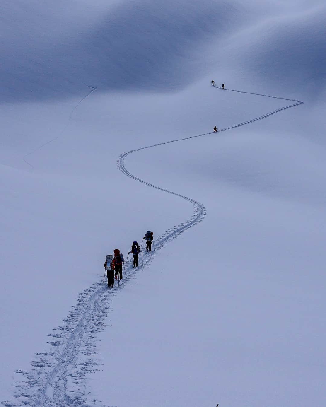 Swatchさんのインスタグラム写真 - (SwatchInstagram)「Swatch Proteam athlete Cody Townsend is back for the fifth season of his record-breaking YouTube video series "The Fifty"! 🏔️ Join us as we follow Cody on his quest to conquer all 50 classic ski descents in North America.  #SwatchLovesSports #SwatchProteam」11月16日 2時50分 - swatch