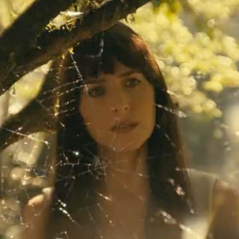 ハリウッド・リポーターさんのインスタグラム写真 - (ハリウッド・リポーターInstagram)「#DakotaJohnson sees the future as #MadameWeb in the all-new first trailer. The film also stars #SydneySweeney, #AdamScott, #CelesteOConnor, #IsabelaMerced, #EmmaRoberts and more. Watch now at the link in bio.」11月16日 3時22分 - hollywoodreporter