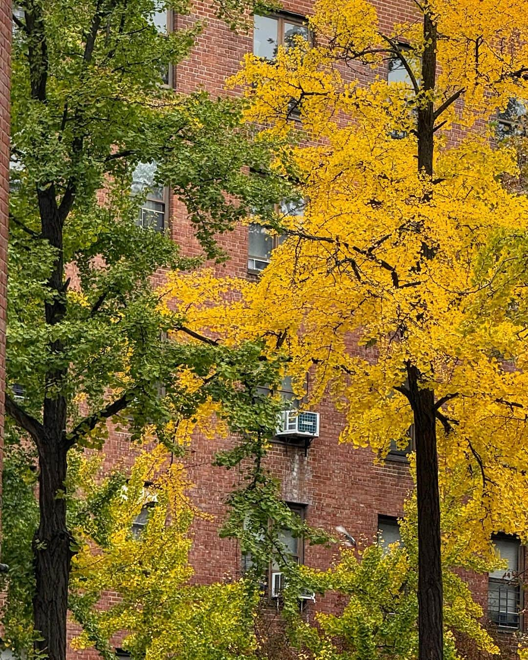 ピエトロ・ボセリさんのインスタグラム写真 - (ピエトロ・ボセリInstagram)「Big city, autumnal dreams.」11月16日 3時35分 - pietroboselli