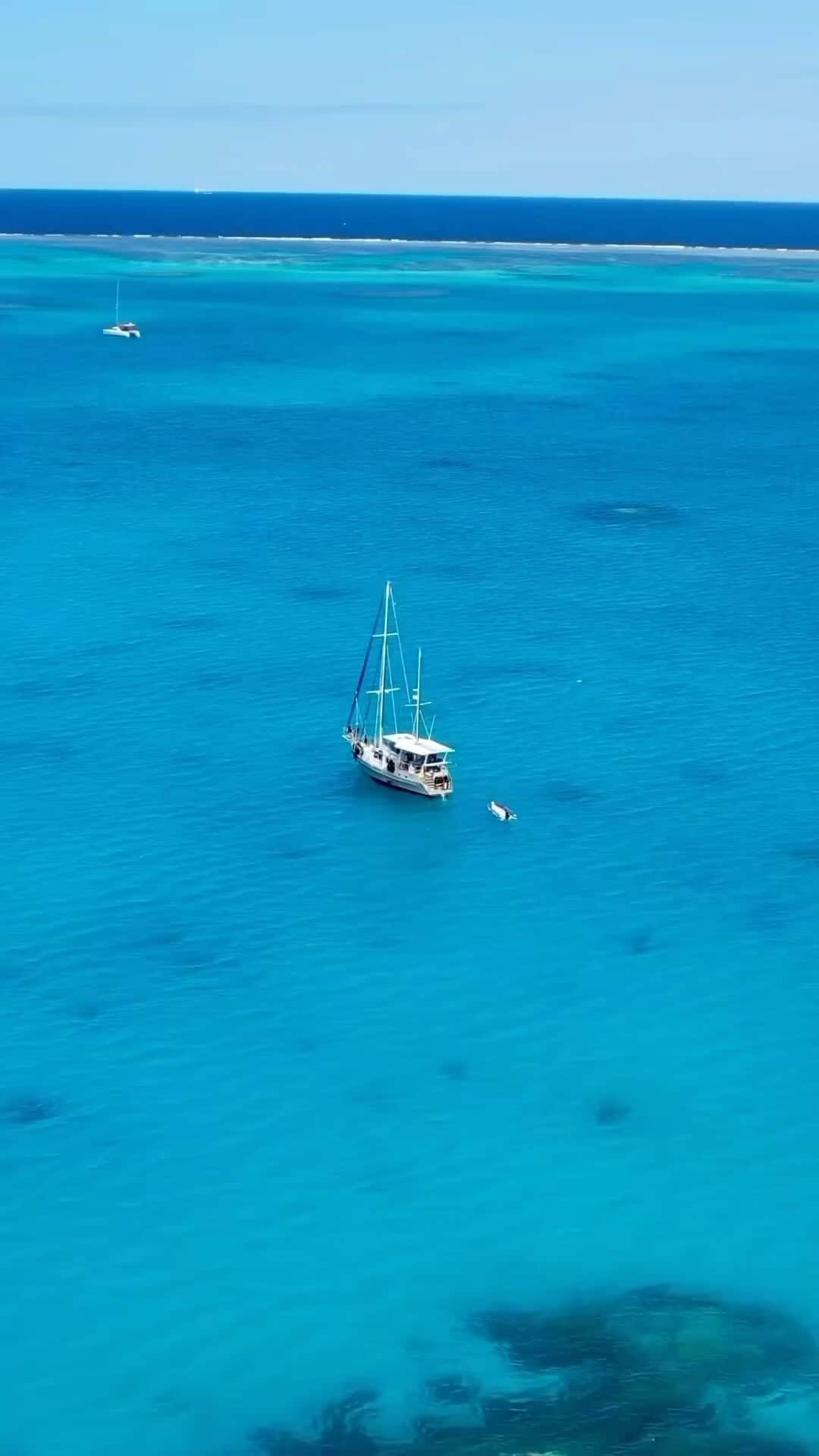 Australiaのインスタグラム：「@miliramiro just gave us ANOTHER reason to run to the @southerngreatbarrierreef 🏃✈️ Less than a four hour drive from Meeanjin (@visitbrisbane), #HerveyBay is a gateway to exploring @queensland’s spectacular underwater world 🐠 Catch some z’s at @visitfrasercoast’s @oaks_hotels before setting sail for an epic adventure above and below the surface with @herveybaydivecentre. Spend four magical days on the reef; snorkelling, diving, dining and unwinding, or visit between July and October to get in the water with majestic #HumpbackWhales 🤿🐳   🎥: @miliramiro   📍: #HerveyBay, @visitfrasercoast, @southerngreatbarrierreef, @queensland #SeeAustralia #ComeAndSayGday #ThisIsQueensland #VisitFraserCoast #SouthernGreatBarrierReef   ID: Video opens with an aerial view of a white sail boat amid clear blue water, followed by scenes of dolphins and tropical fish swimming among coral reefs.」