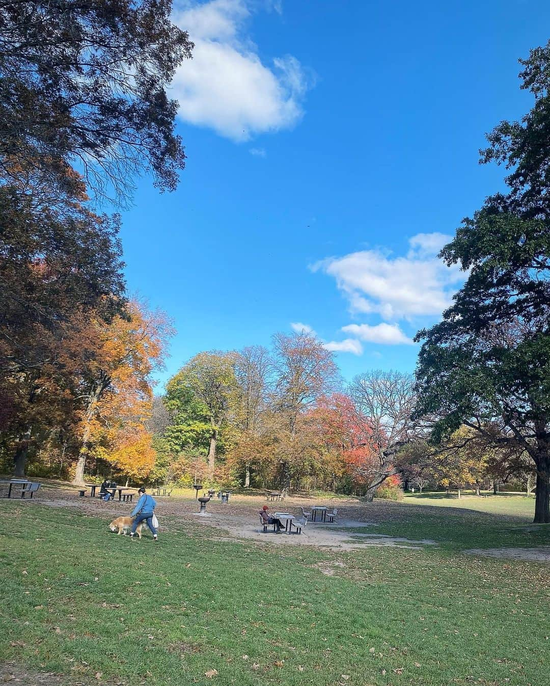 Ka-Naさんのインスタグラム写真 - (Ka-NaInstagram)「Finally, today is my second baby’s due day!!! But she seems like she still wants to stay in my belly at the moment lol. So I went out to have lunch with my husband this afternoon because we wouldn’t be able to do it for a while after she is born. We’re just so excited to see our girl! Anyway, have a great day ;)  いよいよ本日、無事に出産予定日を迎えました！ でも、現時点で赤ちゃん生まれてきそうな気配がありません笑。 なので、夫と出産前最後のランチに行きました♪ マタニティーライフも本当にあとわずか！ 赤ちゃんには今すぐにでも会いたいけど、彼女のタイミングを気長に待ちつつ過ごしたいと思いまーす！  #マタニティーライフ #出産予定日 #第二子 #初めてのNY出産 #植村花菜 #kanauemura」11月16日 4時34分 - kanajpop