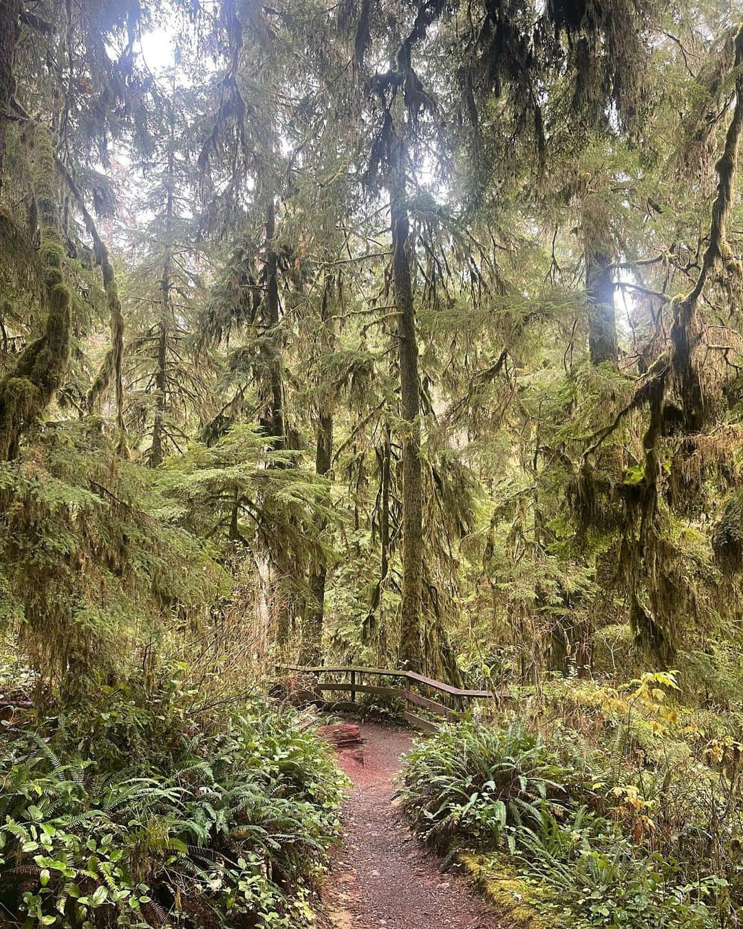 ターラさんのインスタグラム写真 - (ターラInstagram)「Lil 🍂🍁🎃🍃 dump  . . . . . . . #autumnvibes🍁 #fall #washingtonstate #olympicnationalpark #olympicpeninsula #cozy #motherhood #newmama #baby #mummy」11月16日 4時56分 - tala_official