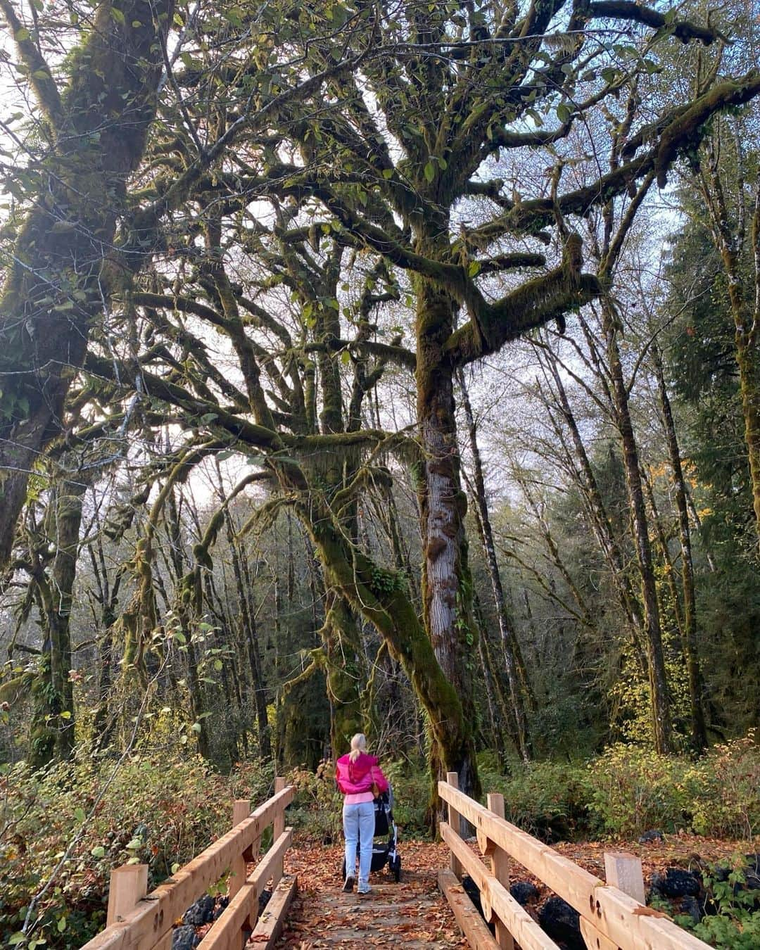 ターラさんのインスタグラム写真 - (ターラInstagram)「Lil 🍂🍁🎃🍃 dump  . . . . . . . #autumnvibes🍁 #fall #washingtonstate #olympicnationalpark #olympicpeninsula #cozy #motherhood #newmama #baby #mummy」11月16日 4時56分 - tala_official