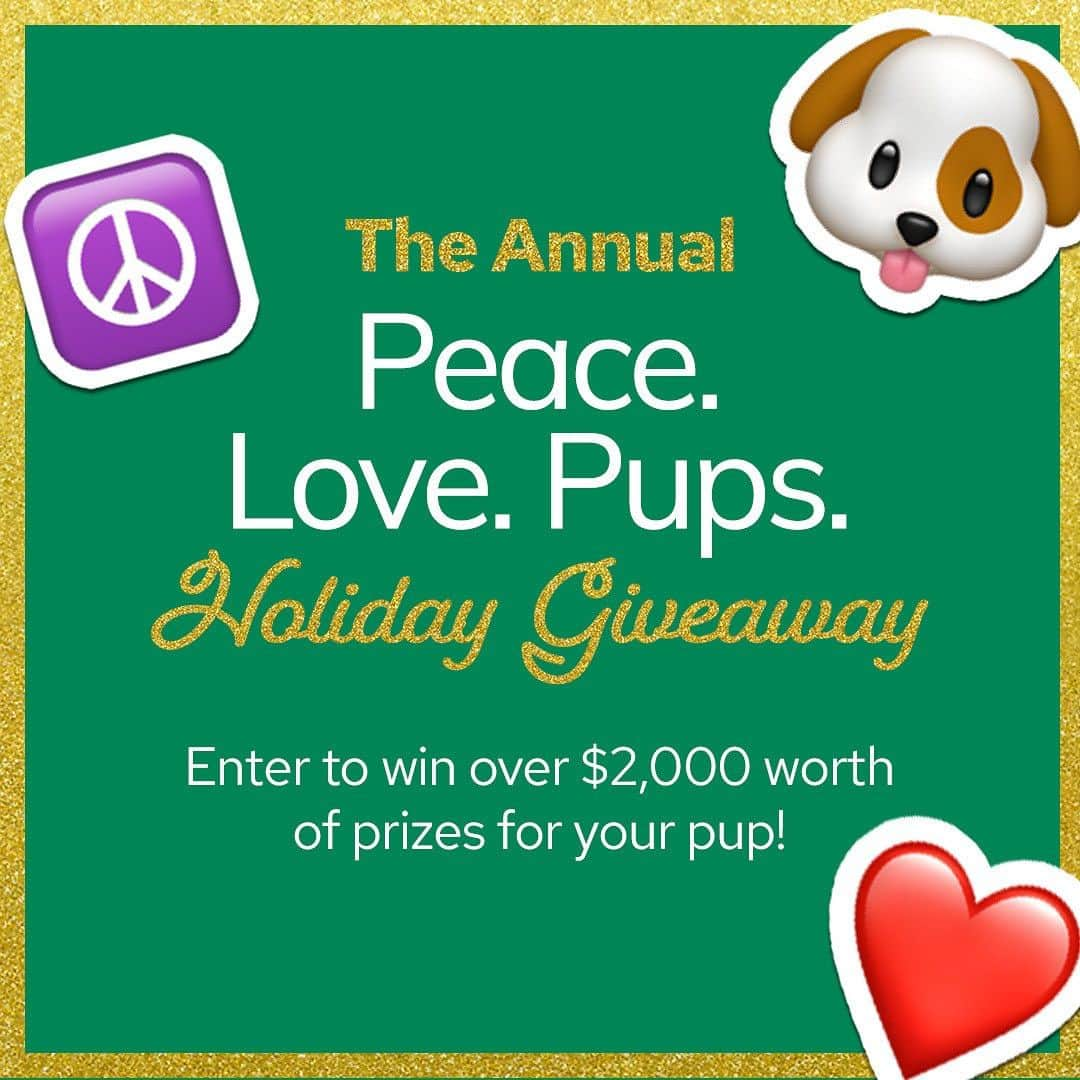 DogsOf Instagramさんのインスタグラム写真 - (DogsOf InstagramInstagram)「We can’t believe it’s already that time of year again, our Annual Peace ☮️ Love❤️ Pups 🐶 Holiday Giveaway is a officially open! Enter to win over $2,000 in prizes for your pup from @shutterfly, @earthanimal1979, @embarkvet, and @petsafe — link in bio 🎄🎁 . . . #itsthemostwonderfultimeoftheyear #christmasgiftideas #dogsofchristmas #holidaydogs #christmasdecor」11月16日 5時15分 - dogsofinstagram