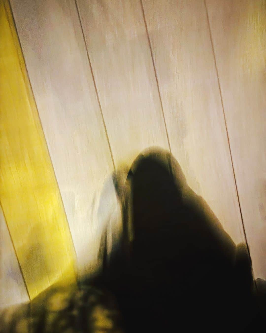 村田充さんのインスタグラム写真 - (村田充Instagram)「歩いている」11月16日 5時52分 - mitsumurata