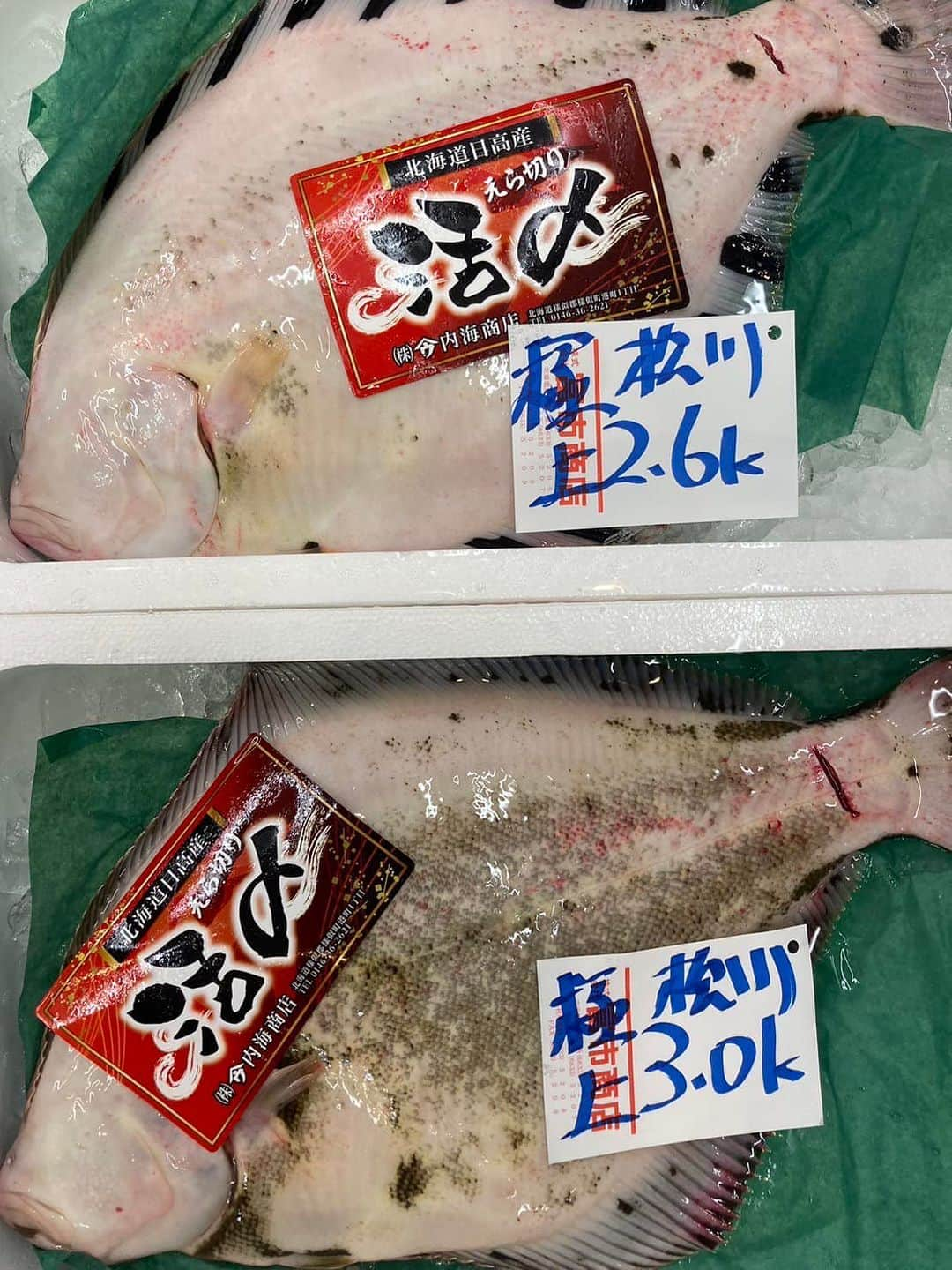 森田釣竿さんのインスタグラム写真 - (森田釣竿Instagram)「浦安泉銀 本日の魚食え！コノヤロー！！！」11月16日 6時24分 - tsurizaomorita3710