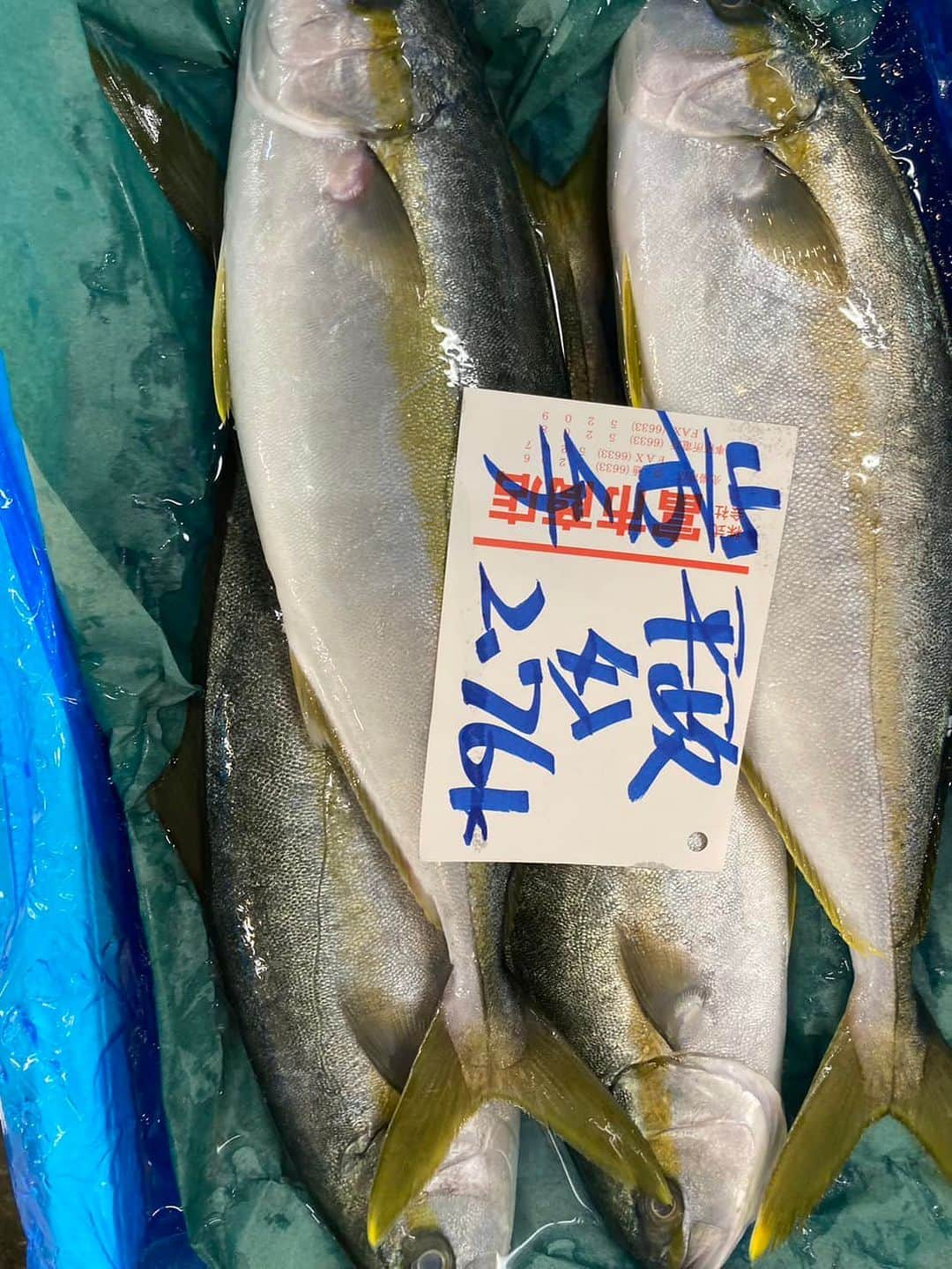 森田釣竿さんのインスタグラム写真 - (森田釣竿Instagram)「浦安泉銀 本日の魚食え！コノヤロー！！！」11月16日 6時24分 - tsurizaomorita3710