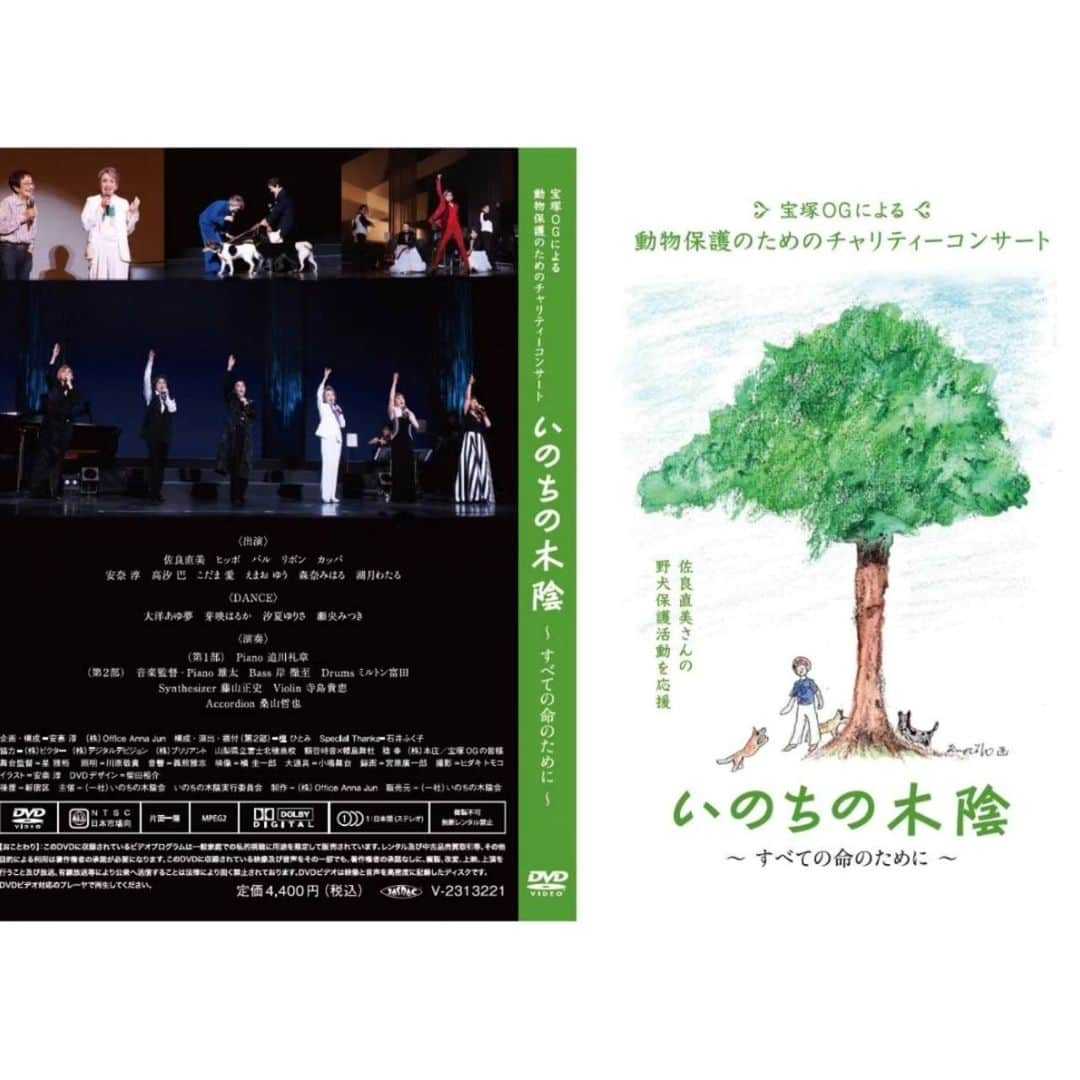 安奈淳さんのインスタグラム写真 - (安奈淳Instagram)「ご報告です❗️  9月の宝塚OGによる動物保護のチャリティーコンサートでは、皆様から暖かいご支援ご賛同を頂き、本当に有難うございました🙇  著作権の関係で制作が遅れておりましが、「いのちの木陰～すべての命のために～」のDVDが12月1日に発売となります🙋  8Pブックレット付で4,400円(税込)です。当日のプログラムは1,000円(税込)です。 佐良直美さんにも40年ぶりに歌って頂きました～  お申し込みは最後のページのQRコードか、私のホームページにも案内がありますのでそちらからお願いいたします。  ファンクラブの皆様は、みきの会事務局にメールでお願いします。  このDVDの売上も、佐良さんの野犬保護活動にお役だて頂きますので、皆様何卒宜しくお願いいたします🙇  #いのちの木陰 #動物保護 #チャリティーコンサート #佐良直美 #宝塚OG #高汐巴 #こだま愛 #えまおゆう #森奈みはる #湖月わたる #檀ひとみ  #安奈淳」11月16日 18時58分 - annajun0729