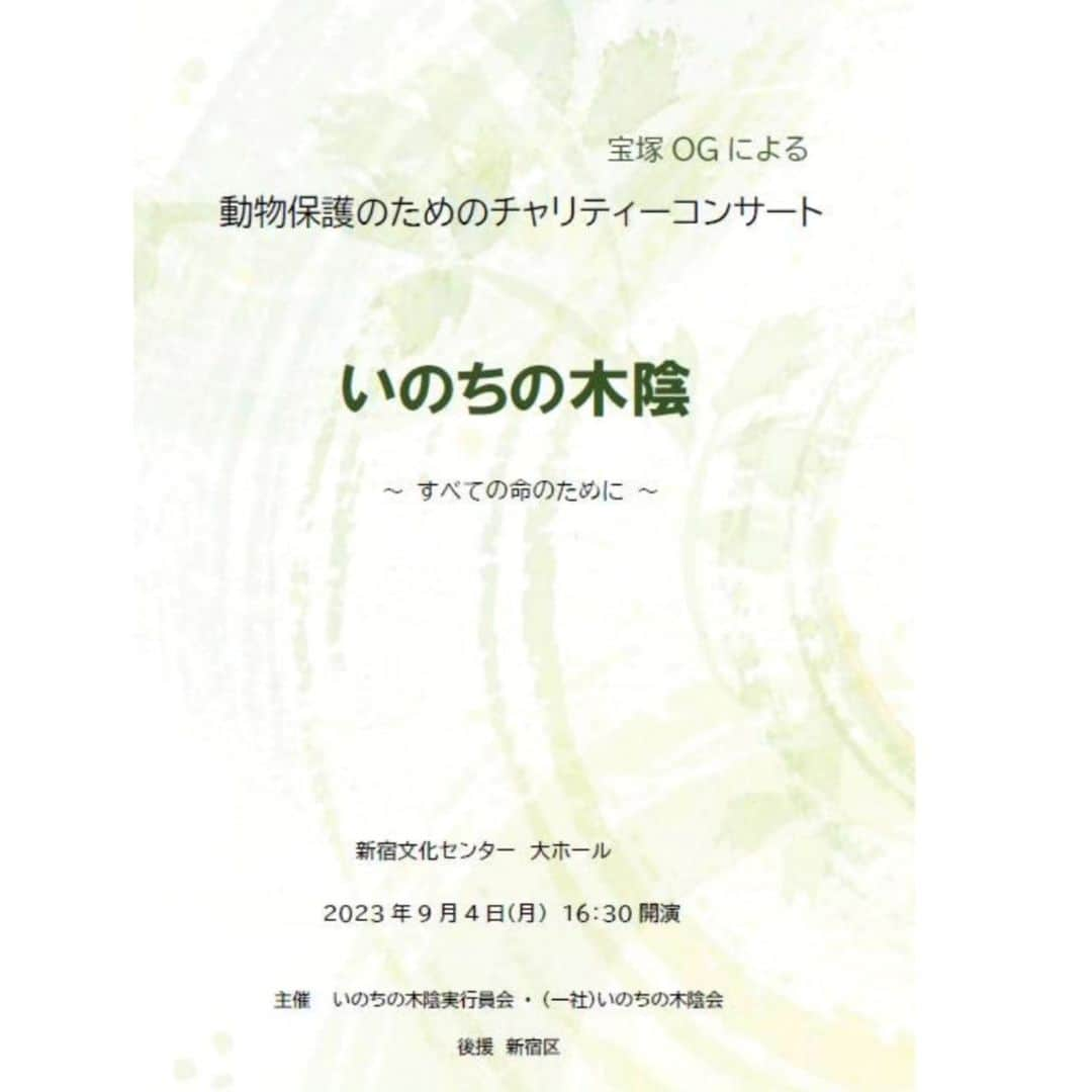 安奈淳さんのインスタグラム写真 - (安奈淳Instagram)「ご報告です❗️  9月の宝塚OGによる動物保護のチャリティーコンサートでは、皆様から暖かいご支援ご賛同を頂き、本当に有難うございました🙇  著作権の関係で制作が遅れておりましが、「いのちの木陰～すべての命のために～」のDVDが12月1日に発売となります🙋  8Pブックレット付で4,400円(税込)です。当日のプログラムは1,000円(税込)です。 佐良直美さんにも40年ぶりに歌って頂きました～  お申し込みは最後のページのQRコードか、私のホームページにも案内がありますのでそちらからお願いいたします。  ファンクラブの皆様は、みきの会事務局にメールでお願いします。  このDVDの売上も、佐良さんの野犬保護活動にお役だて頂きますので、皆様何卒宜しくお願いいたします🙇  #いのちの木陰 #動物保護 #チャリティーコンサート #佐良直美 #宝塚OG #高汐巴 #こだま愛 #えまおゆう #森奈みはる #湖月わたる #檀ひとみ  #安奈淳」11月16日 18時58分 - annajun0729