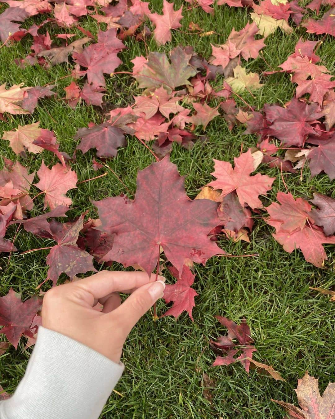 廣瀬なつきさんのインスタグラム写真 - (廣瀬なつきInstagram)「⁡ ⁡ カナダといえばの、🍁!! 道を歩けば、メープルの木の葉っぱがたくさんで、カナダを感じれました!! ⁡ GRANVILLE ILANDでは、ホットパイを食べたり🥧カナダらしいポスターを見たり、お土産が売っていて見るだけでも満足で楽しかった! ⁡ 物価は、高いけどアメリカより全然ましって感じ！ ⁡ LGBTQ観点からも、先進国なカナダ🏳️‍🌈初カナダは、楽しい思い出たくさん!!」11月16日 17時59分 - i_am_na2coooo