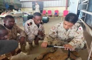 陸上自衛隊さんのインスタグラム写真 - (陸上自衛隊Instagram)「🇩🇯🇯🇵#陸上自衛隊 #東部方面隊 の隊員１４名は、１０月１５日より #ジブチ 軍に対する災害対処能力強化支援を実施中であり、現地での活動も折り返しとなりました。これまでの活動を通じて、日ジブチ隊員間の良好な信頼関係が構築され、真摯なジブチ隊員に対する教育に熱が入ります💪  🇩🇯🇯🇵 #EasternArmy , #JGSDF has been conducting an HA/DR training cooperation with #Djibouti Armed Forces(FAD) since 15 Oct. Through this project, a good relationship b/w JPN and FAD members has been constructed, and this promotes the education for the sincere FAD members💪」11月16日 18時00分 - jgsdf_pr
