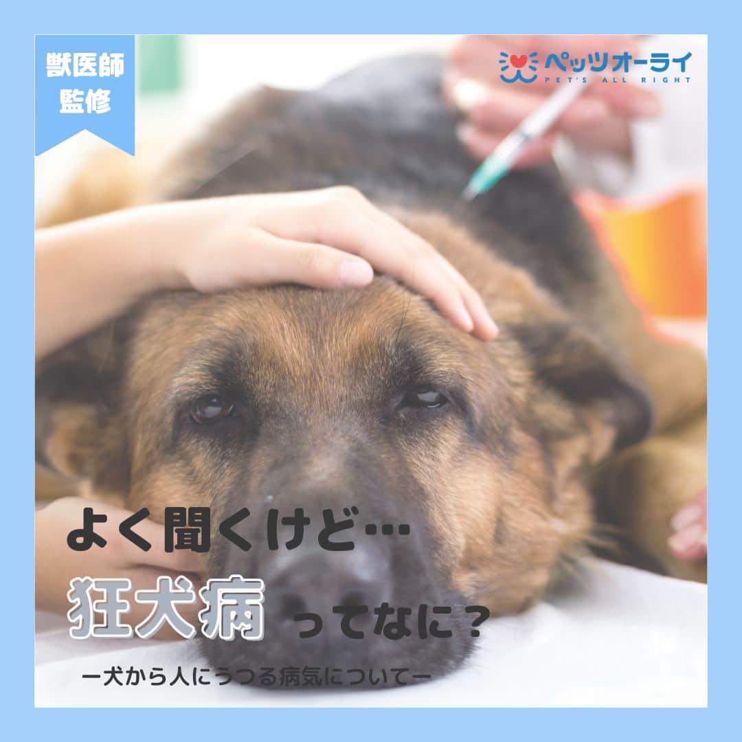 PET'S ALL RIGHT 【公式】のインスタグラム