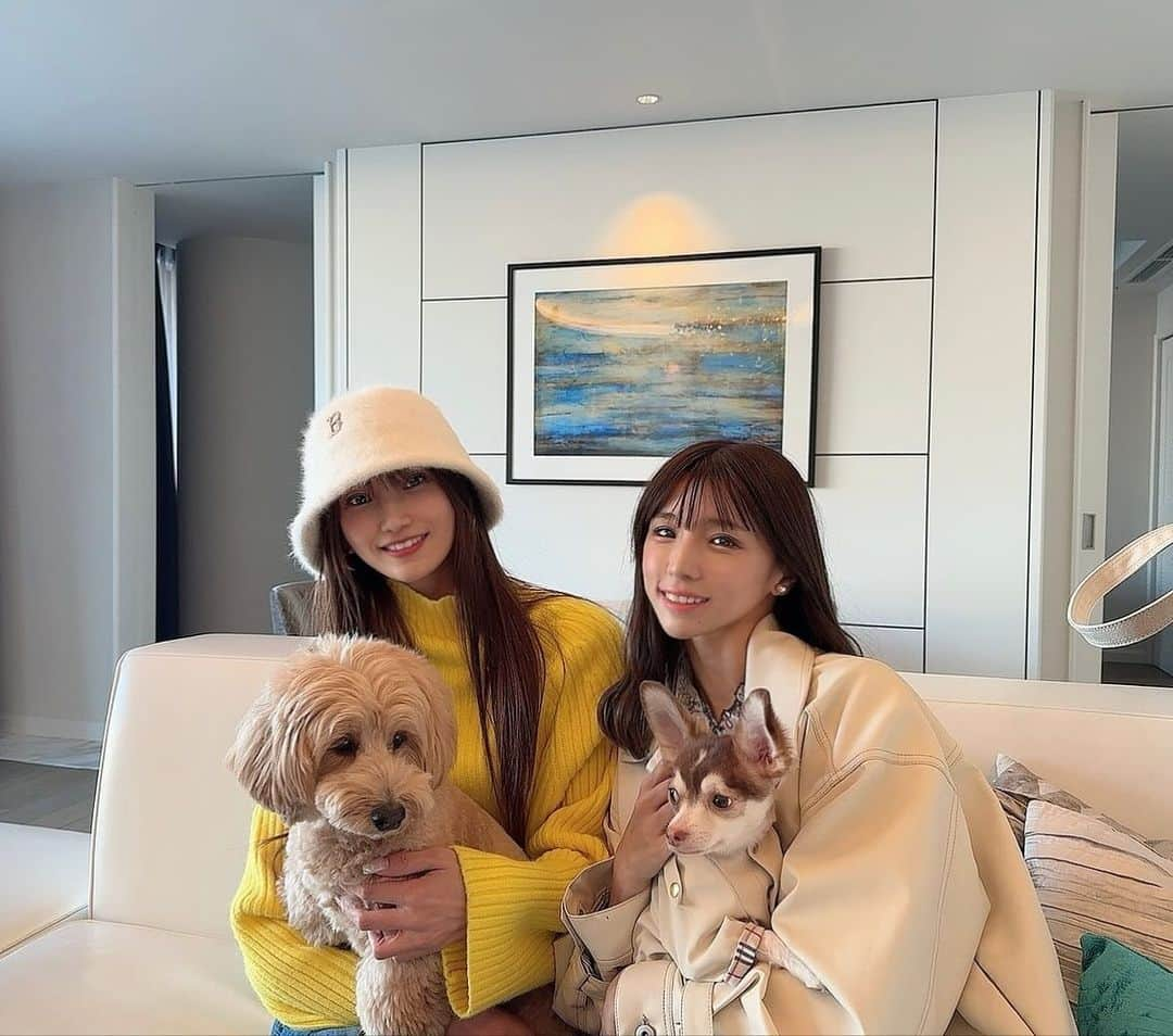 夏本あさみさんのインスタグラム写真 - (夏本あさみInstagram)「念願のお犬連れ旅行🐕💖💖」11月16日 18時13分 - natsumotoasami