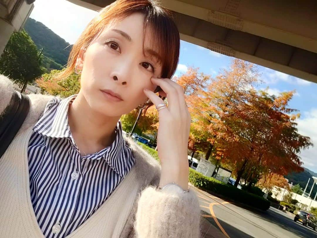 林智美 さんのインスタグラム写真 - (林智美 Instagram)「1週間くらい前の🍁 今はもう少し赤いかなぁ。  いきなり秋を通り越して冬になっちゃったから、 葉っぱたちも赤を通り越して 茶色くなってるのも多いらしい。  葉っぱたちも人間もついてくの大変だよ。 体調崩さないよにお互い気をつけましょうね🍚  #紅葉パトロール #大津市 #京阪電車 #京阪電車沿線 #皇子山 #別所 #三井寺 #大津市役所前 #とも散歩」11月16日 18時15分 - h_tomomi_i