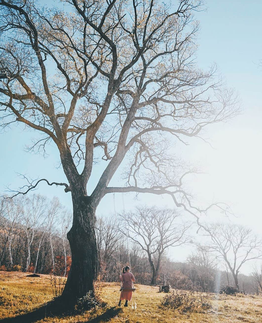 yukiさんのインスタグラム写真 - (yukiInstagram)「・ #高原 #ブランコ #朝陽 #小春日和 #僕らが見ている風景 __________________________ 日々の撮影記事やコラム更新中！ ・・・・・・・・・・・・・・・ ◉FAN限定サイト◉ https://www.fansnet.jp/sty830 __________________________」11月16日 18時44分 - sty830