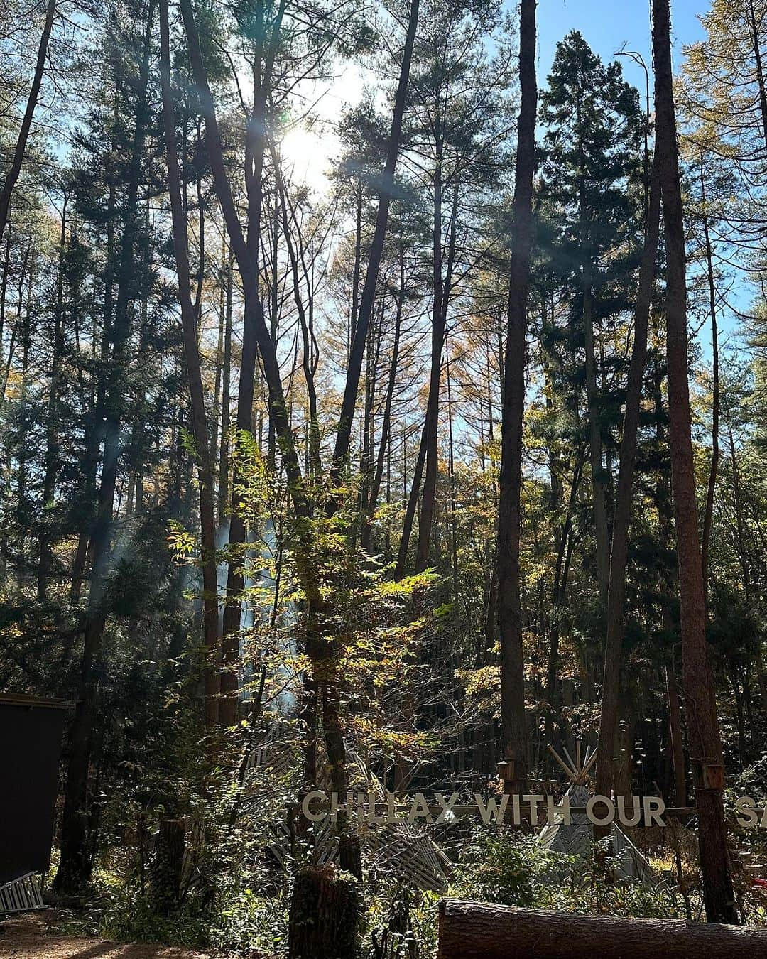 西内ひろさんのインスタグラム写真 - (西内ひろInstagram)「今日は、山梨の小淵沢にある自然の中のサウナ @folkwood_campground  へ友人達と日帰りで行って来ました✨  プライベート貸切。2時間コースで6セット🙌 オシャレな木材で出来た水風呂とサウナを行ったり来たり。  外気浴を挟んで、ゆらゆらと風に靡く森林に癒され 瞑想して、気分も身体もスッキリしました✨  お昼はカフェでパエリア🥘やハンバーガーなどを頂きましたが、お食事メニューのクオリティーも高く、さすがです👏👏  最後はノーメイク、ノーアプリなのに お肌ツルツル✨🥹　  完全に整ったので、明日も頑張れます😊  次回は、ここのキャンプ場にお泊まりもしたいなぁ🏕️  #サウナ #キャンプ場 #サウナー #サウナ女子  #folkwoodvillage #sauna」11月16日 18時40分 - 0214hiro