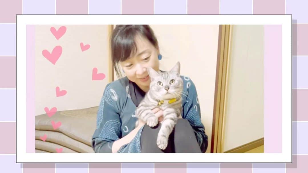 川上麻衣子のインスタグラム：「木曜日は二代目マック！  ［まいネコ🐈］二代目マックvol.74　そこは触っちゃダメー https://youtu.be/g_LpV-68wjo」